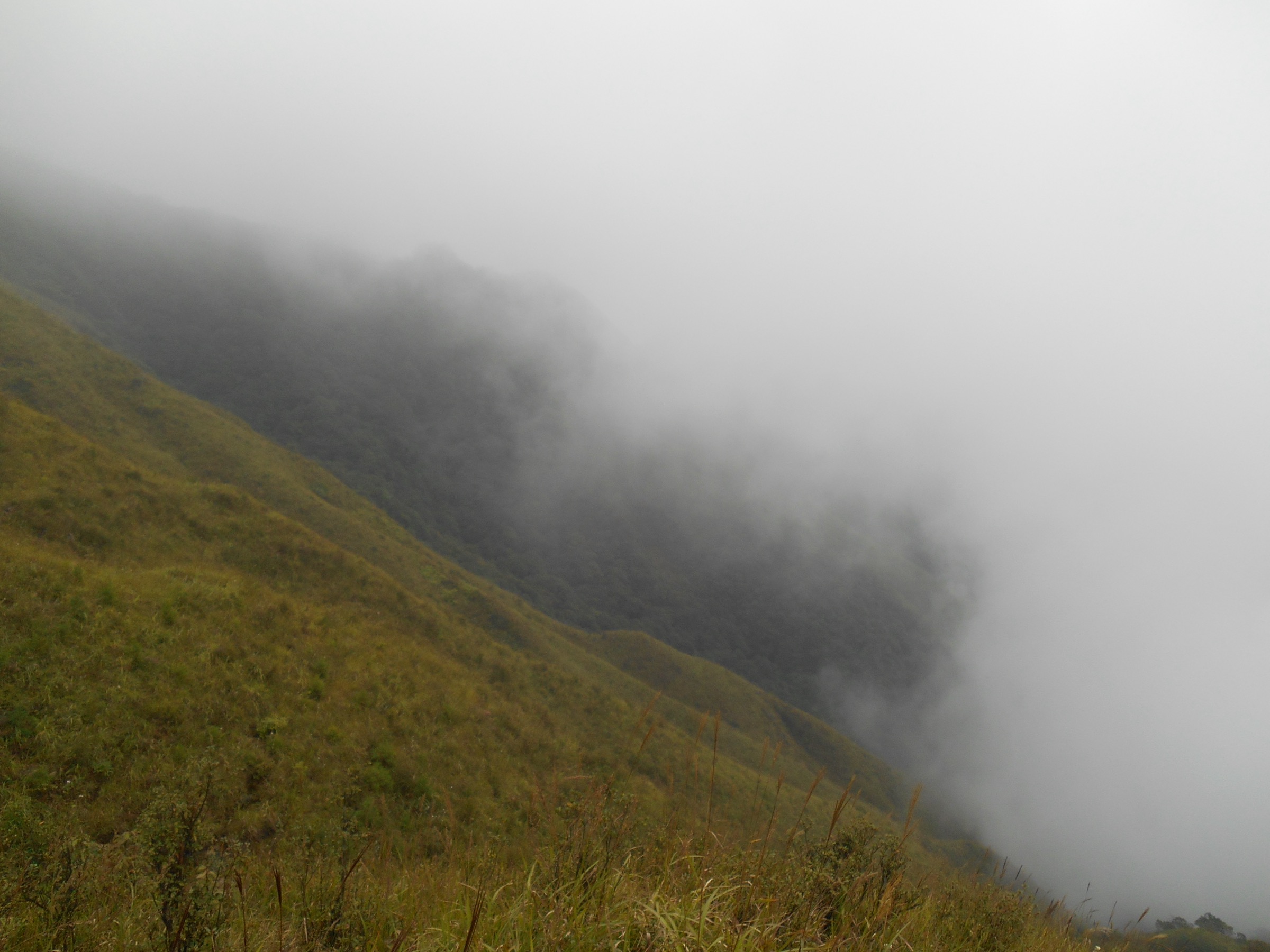 China — Nanling Mountains / Mao'er Mountain and Yuechengling, Guangxi