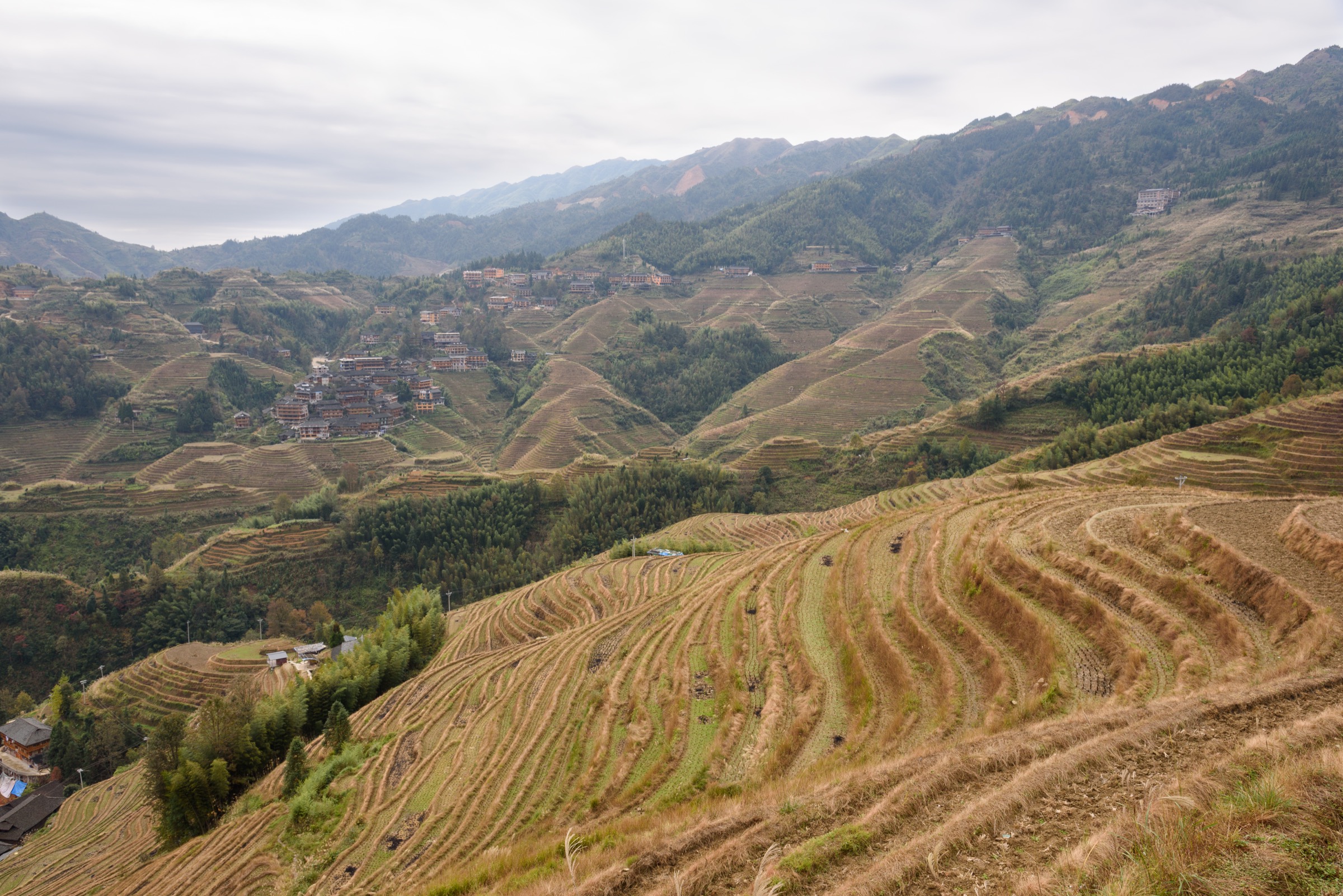 Longji rice terraces at Longsheng, north Guangxi, on the southern flank of the Yuechengling range