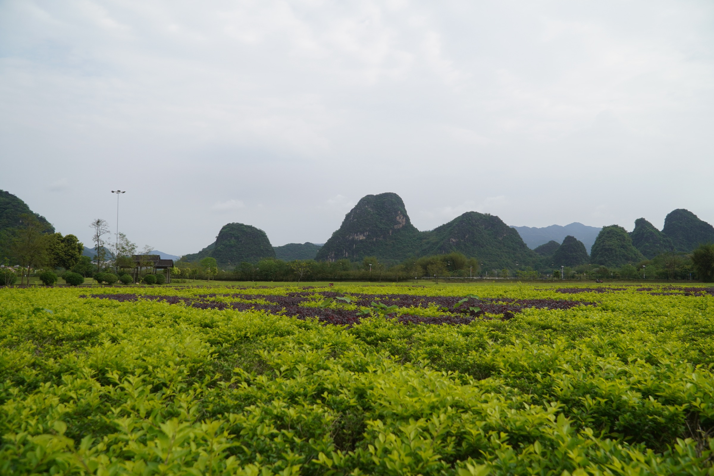 Karst peak forest of Yingxi in Yingde, northern Guangdong, with tower karst peaks above villages and paddies