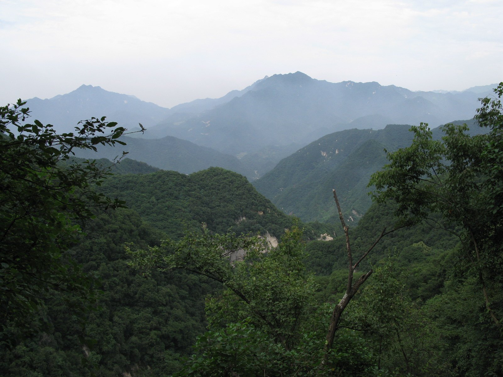 Qinling mountains at Fengyukou