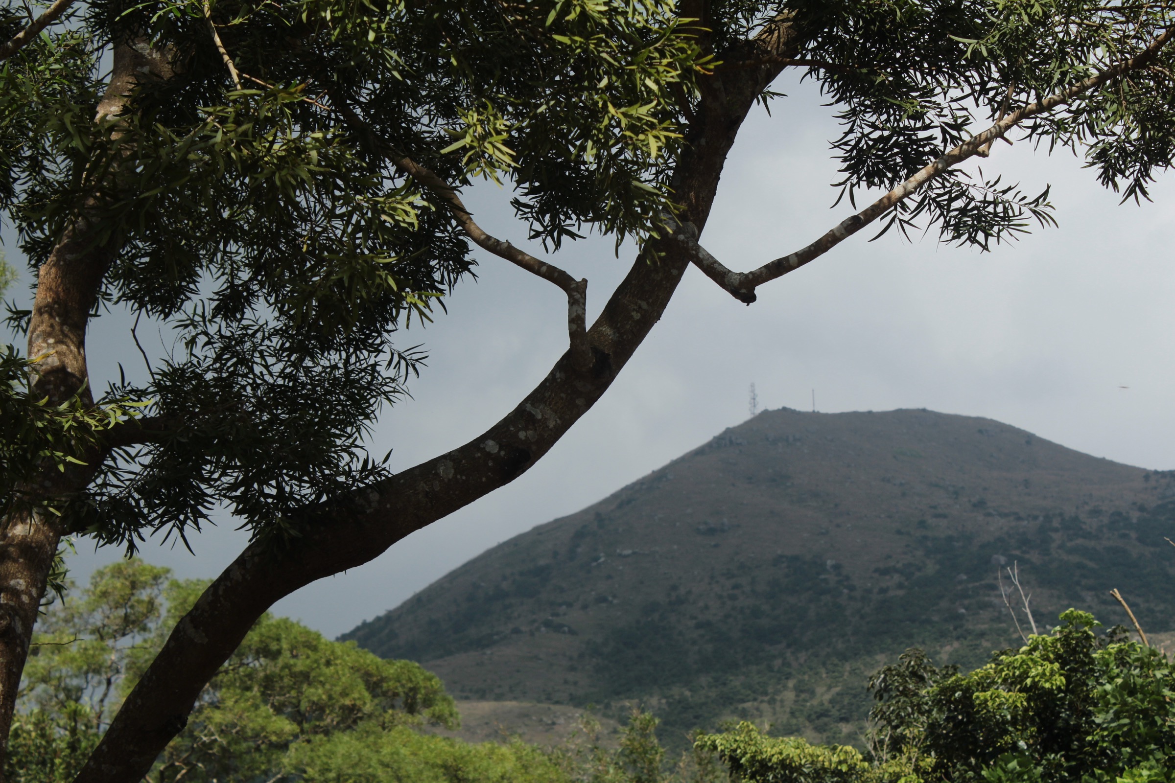 Lantau Island, Hong Kong — Essential Day-Hikes
