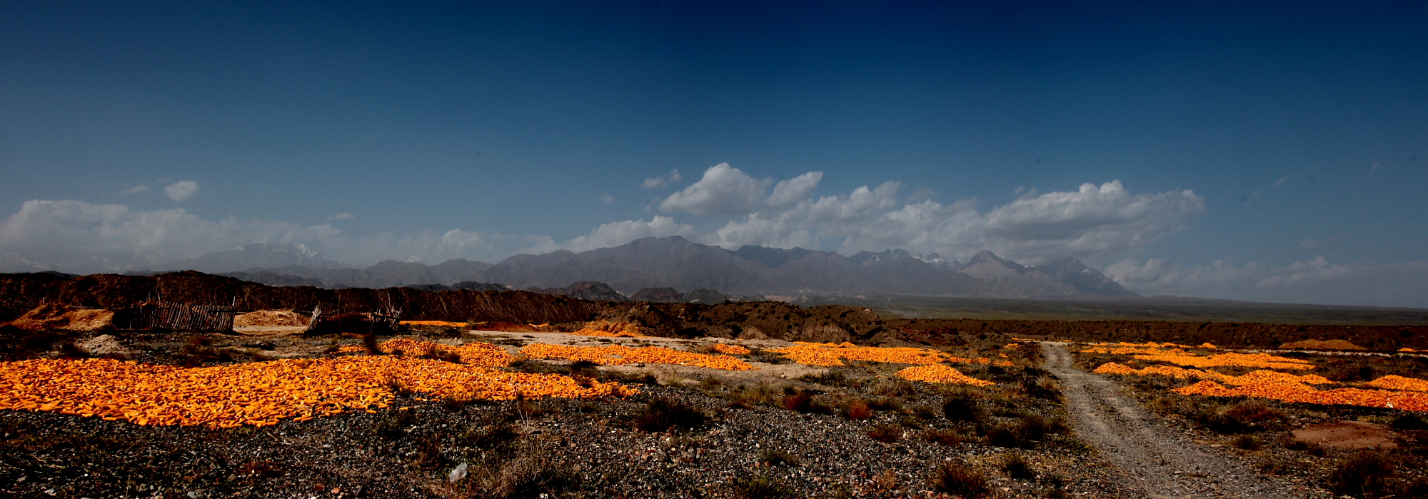 Wensu Grand Canyon landscape, Aksu Prefecture, Xinjiang
