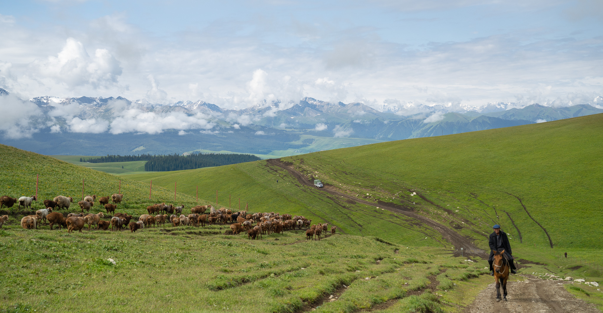 China — Tian Shan: Ili Tian Shan / Nalati-Kalajun region, Xinjiang