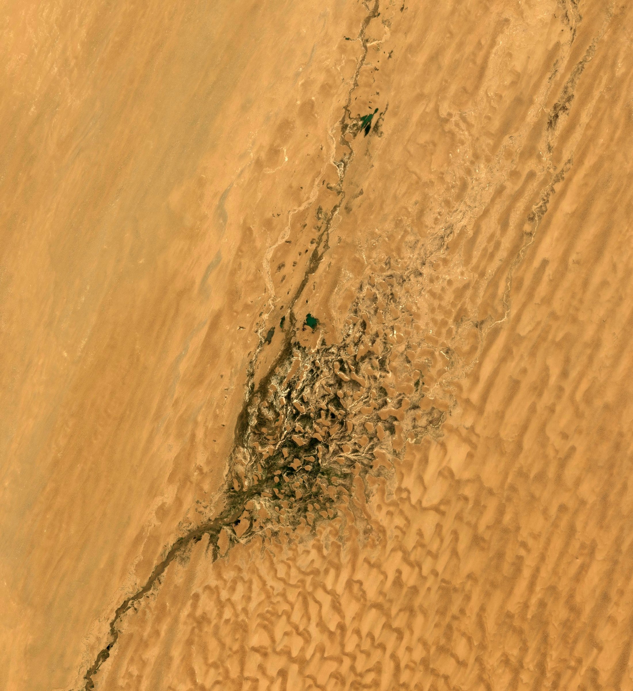 Keriya River from Sentinel-2 satellite imagery