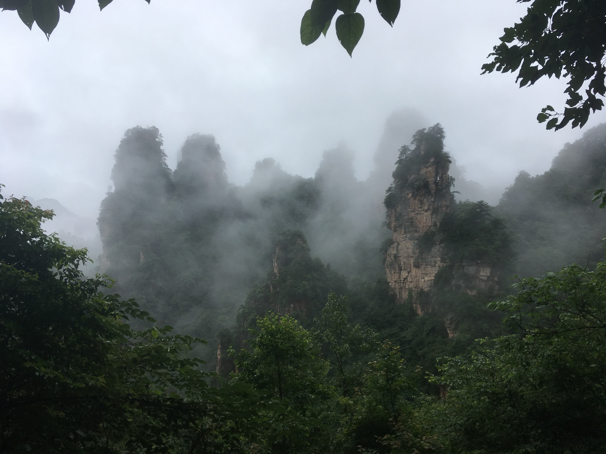 Misty rock formations on Tianzi Mountain, Wulingyuan