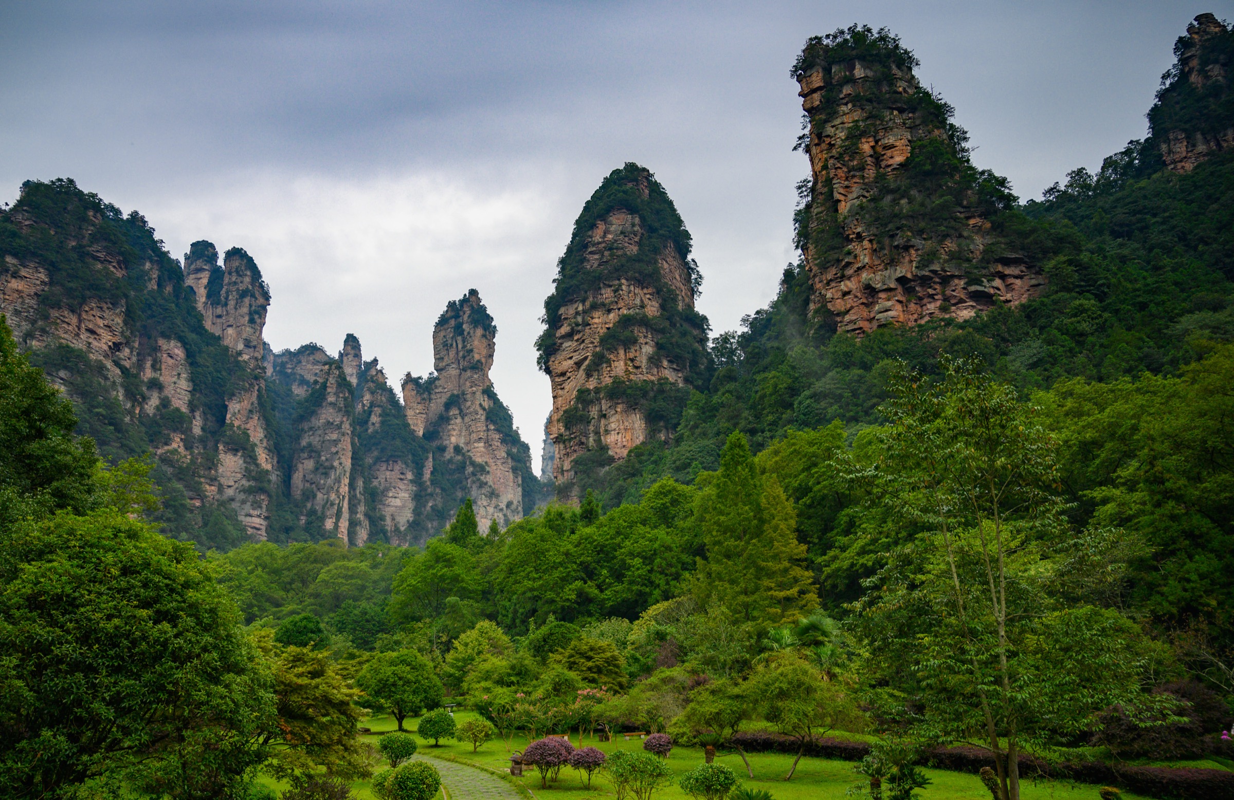 Avatar / Hallelujah Mountain pillars, Yuanjiajie, Zhangjiajie