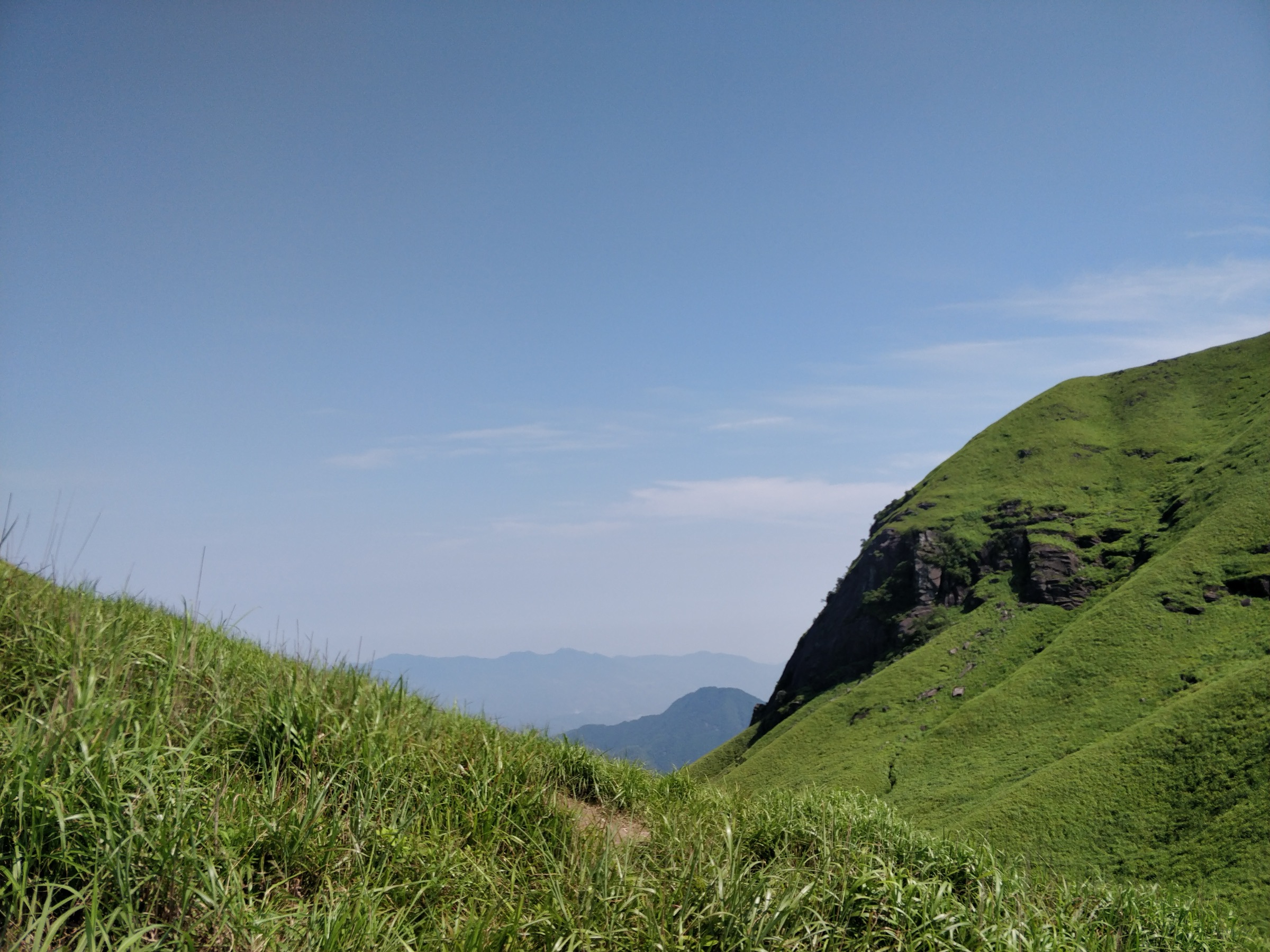 Open meadow and forest edge on the Lóngshān approach to Fāyúnjiè