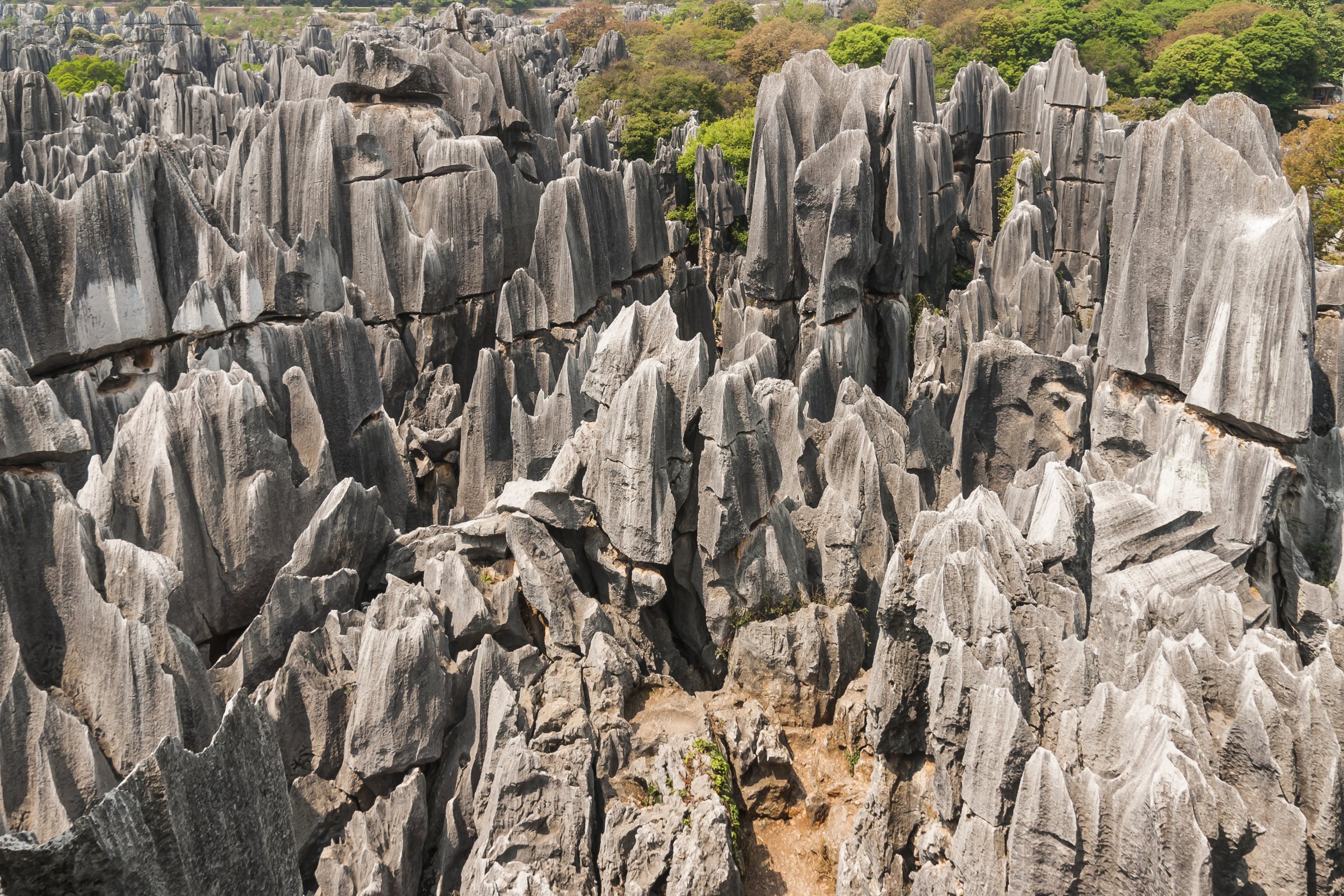Shilin Stone Forest
