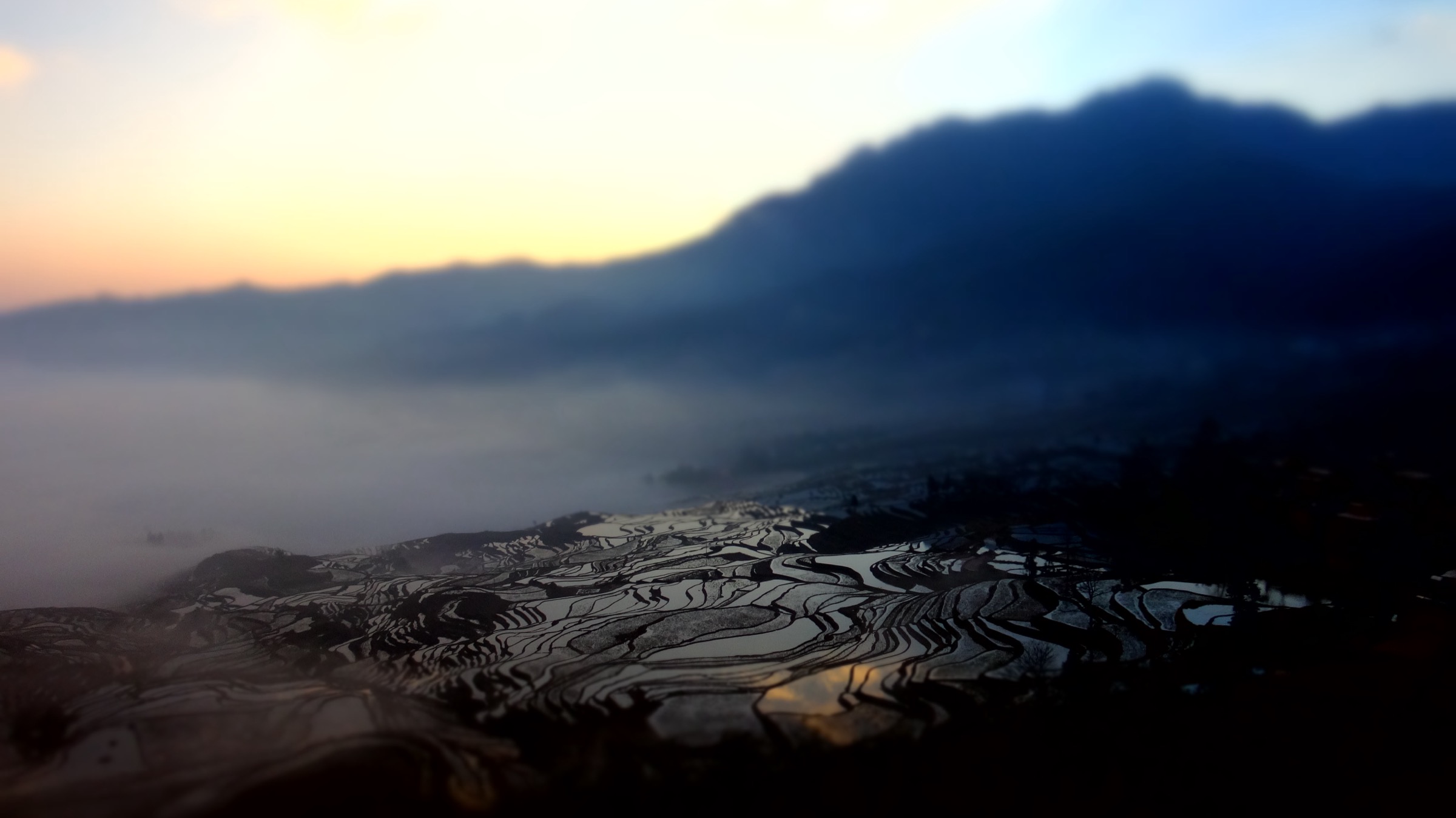 China — Ailao Mountains, Yunnan