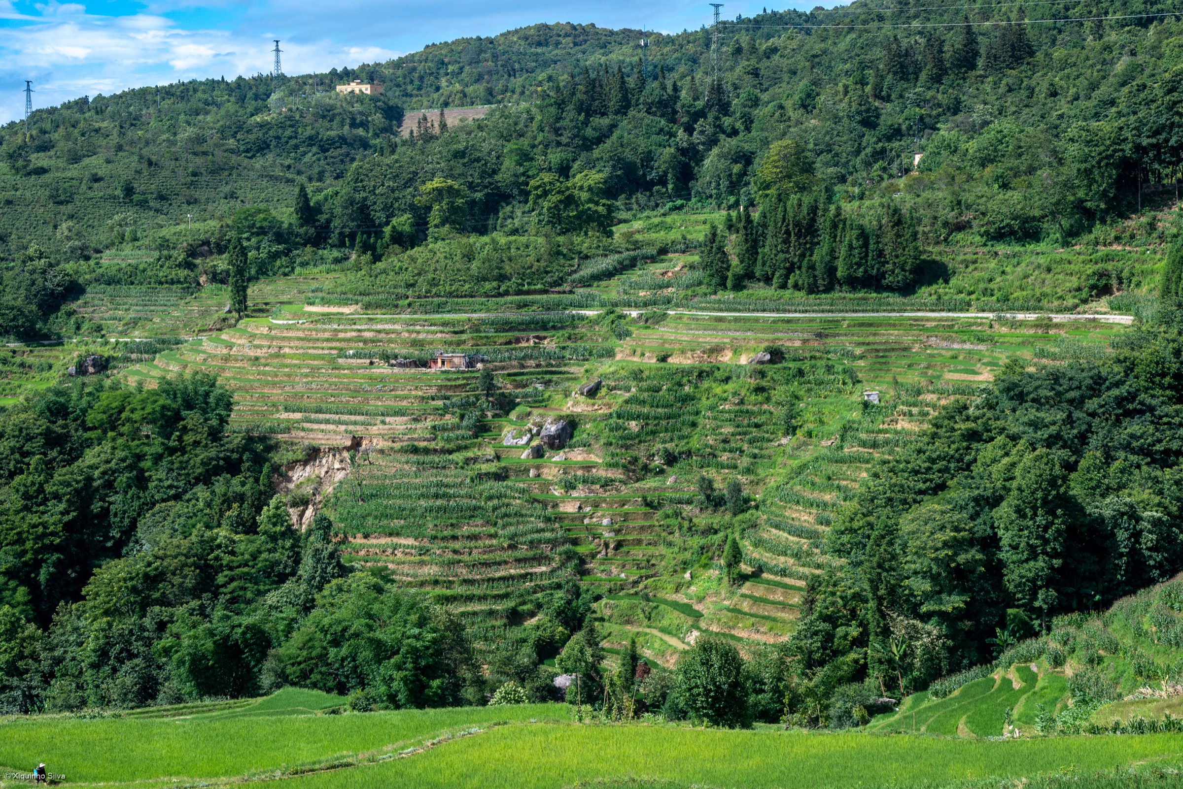 Honghe Hani rice terraces under late afternoon light