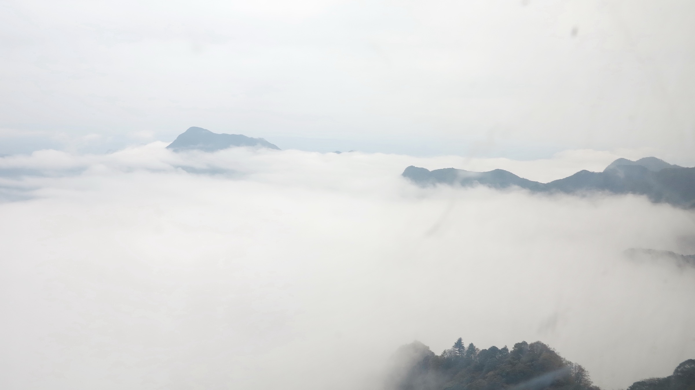 China — Dalou Mountains (Guizhou–Chongqing): Essential Day-Hikes