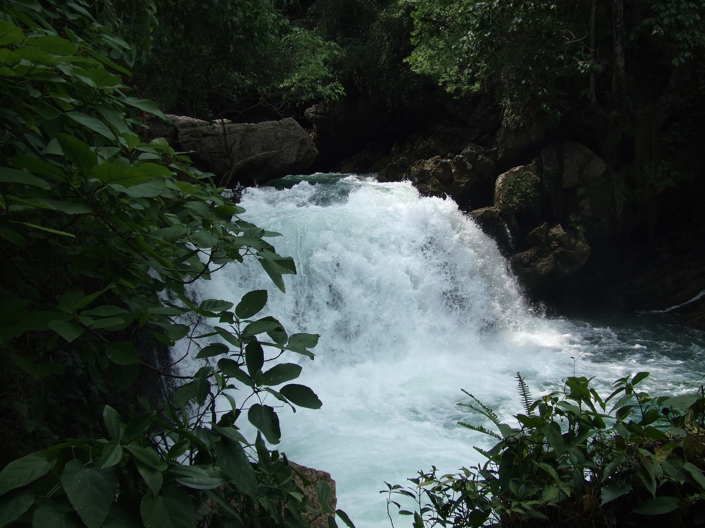 A mountain stream in the Maolan karst forest, Libo County