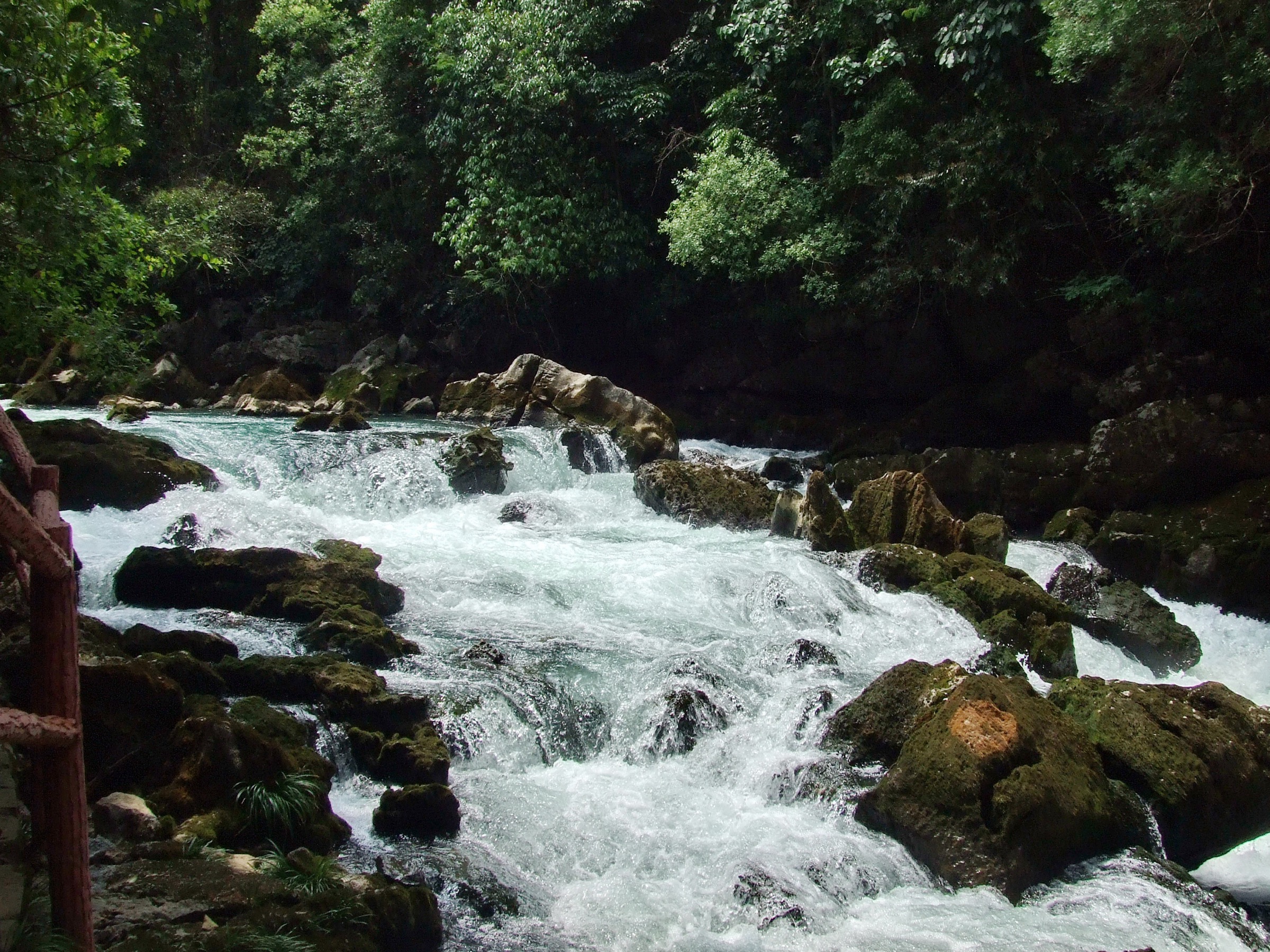 A waterfall in the Maolan karst forest, Libo County, Guizhou