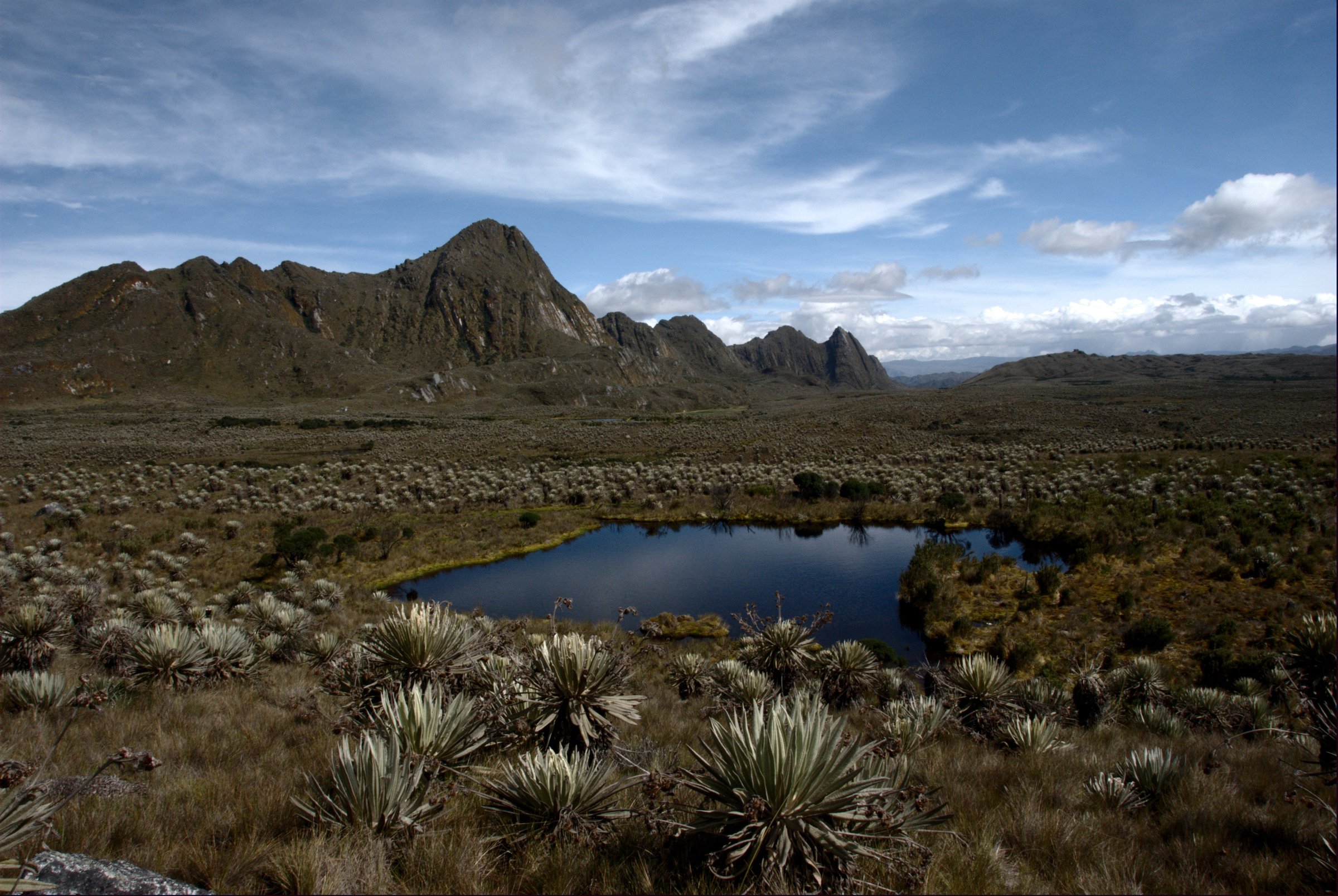 Colombia — Bogota Highlands, Eastern Cordillera: Essential Day-Hikes