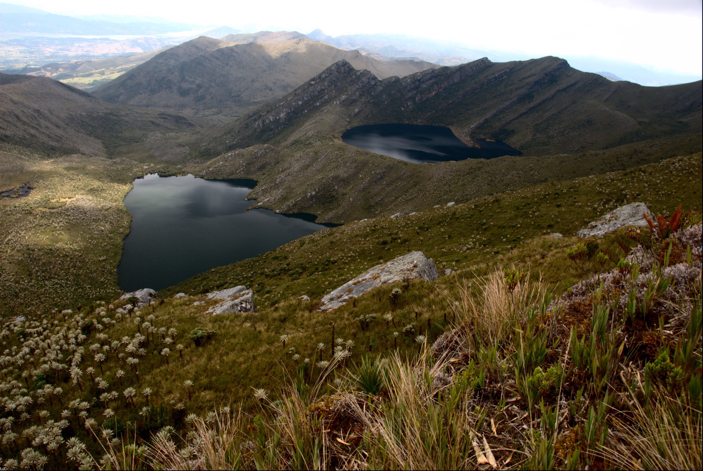 Lagunas de Fausto and Siecha in Chingaza National Park, near Bogota