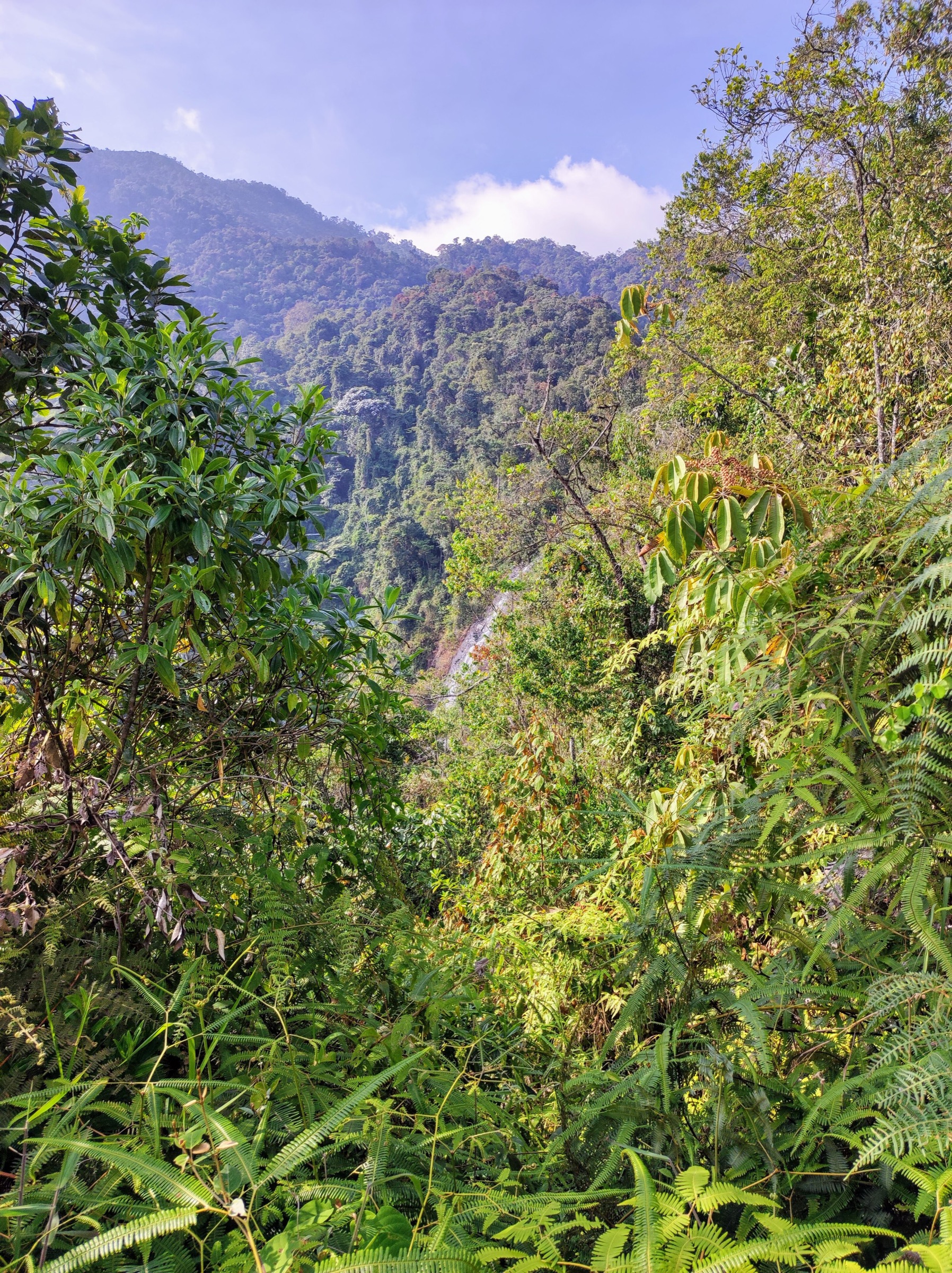 Pico de Loro summit spire in Parque Nacional Natural Farallones de Cali