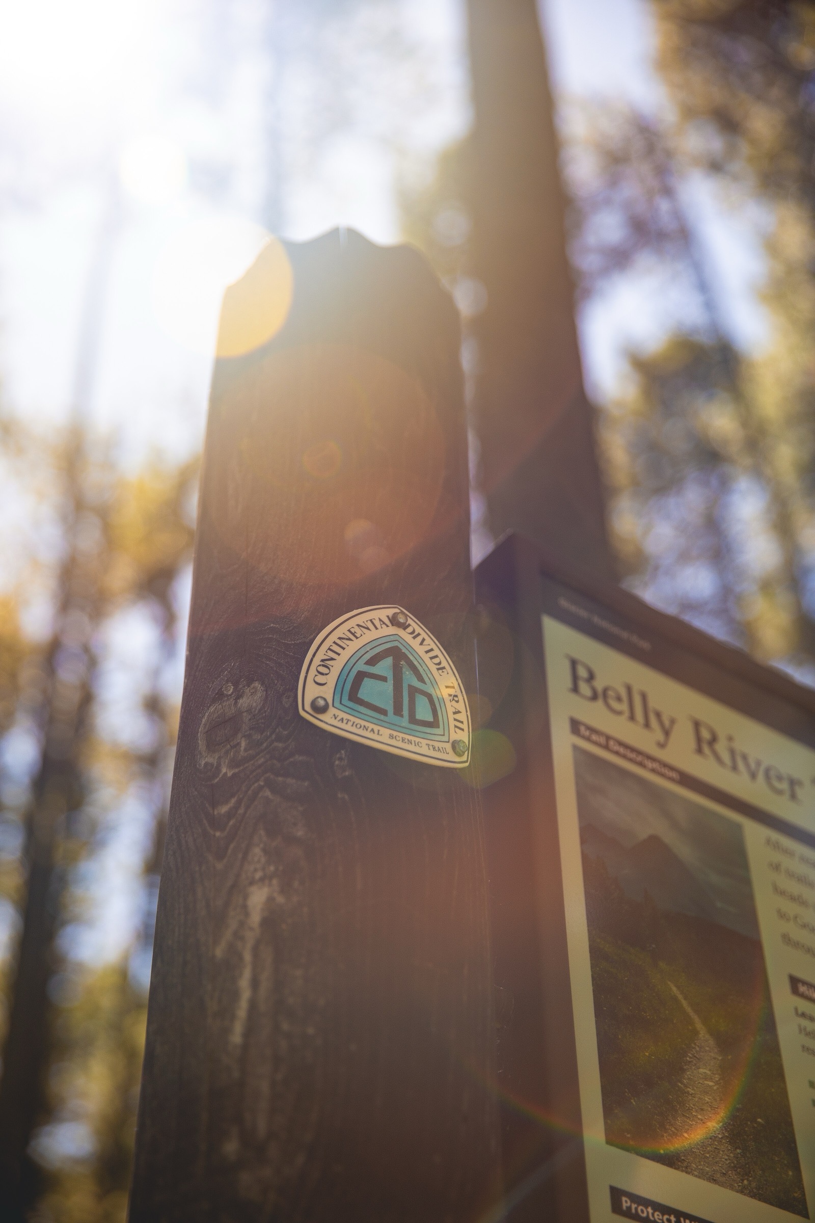 Hiker on the Continental Divide Trail in Glacier National Park, Montana