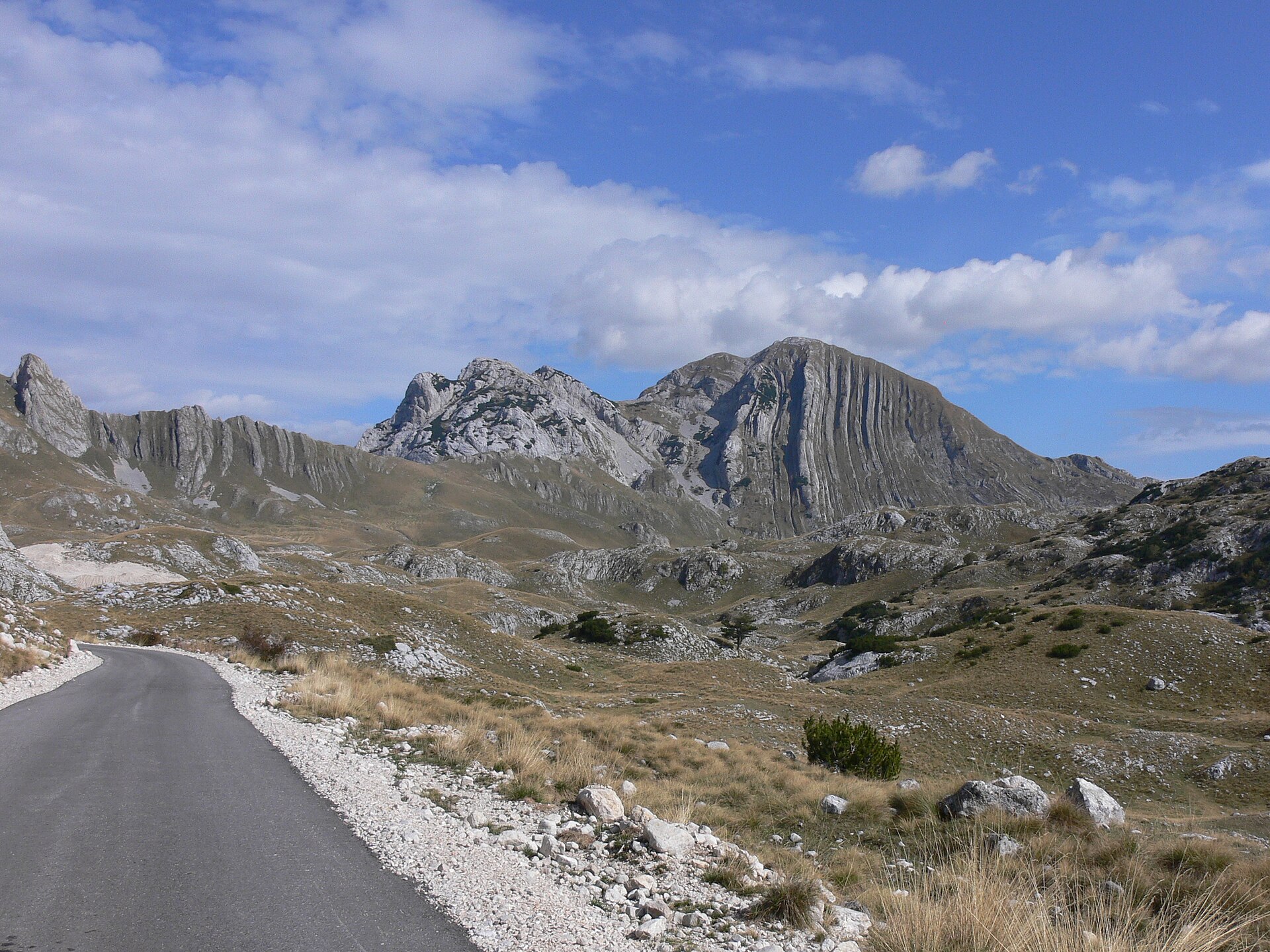 Prutaš, Durmitor