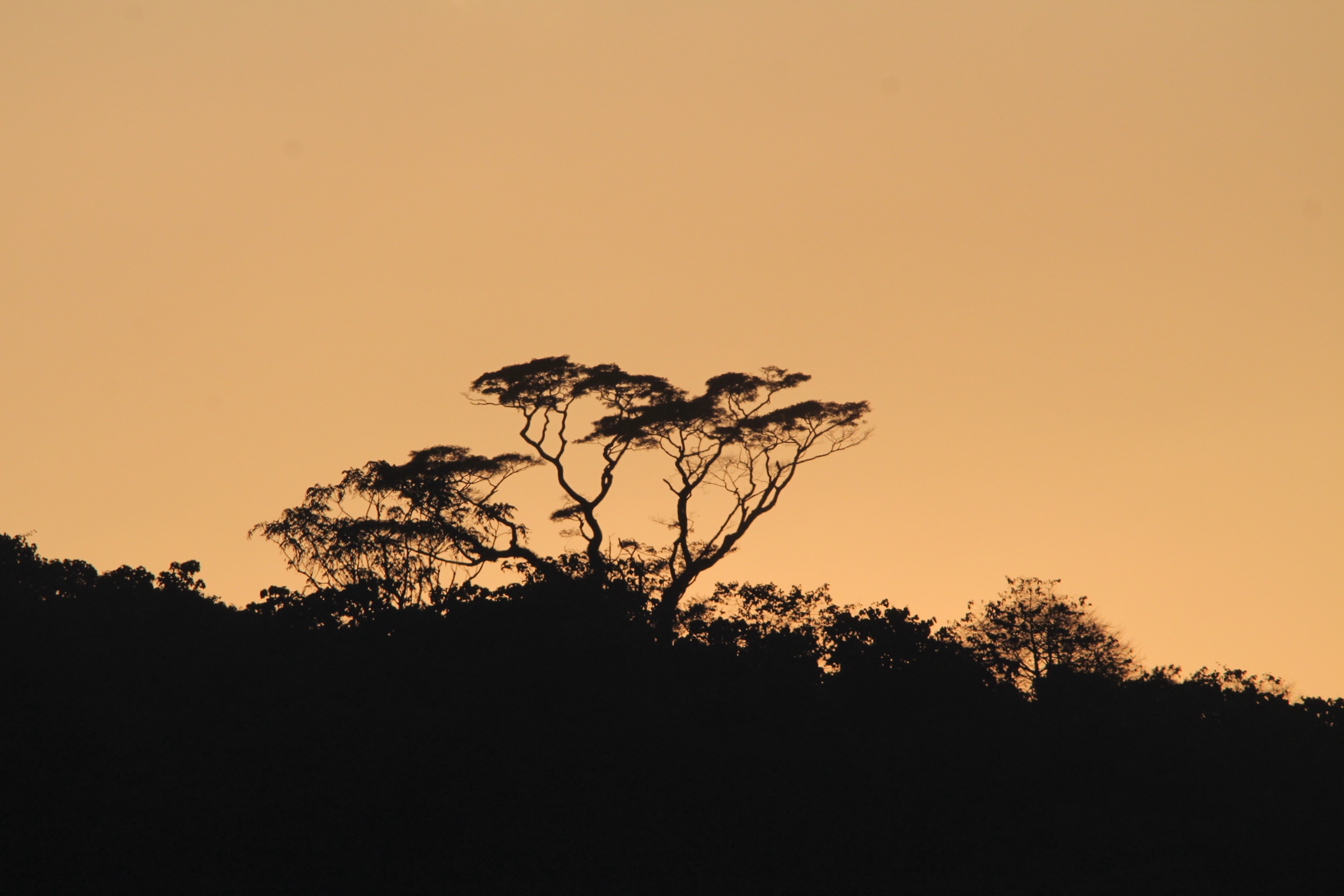 DRC — Mitumba Mountains: essential day hikes