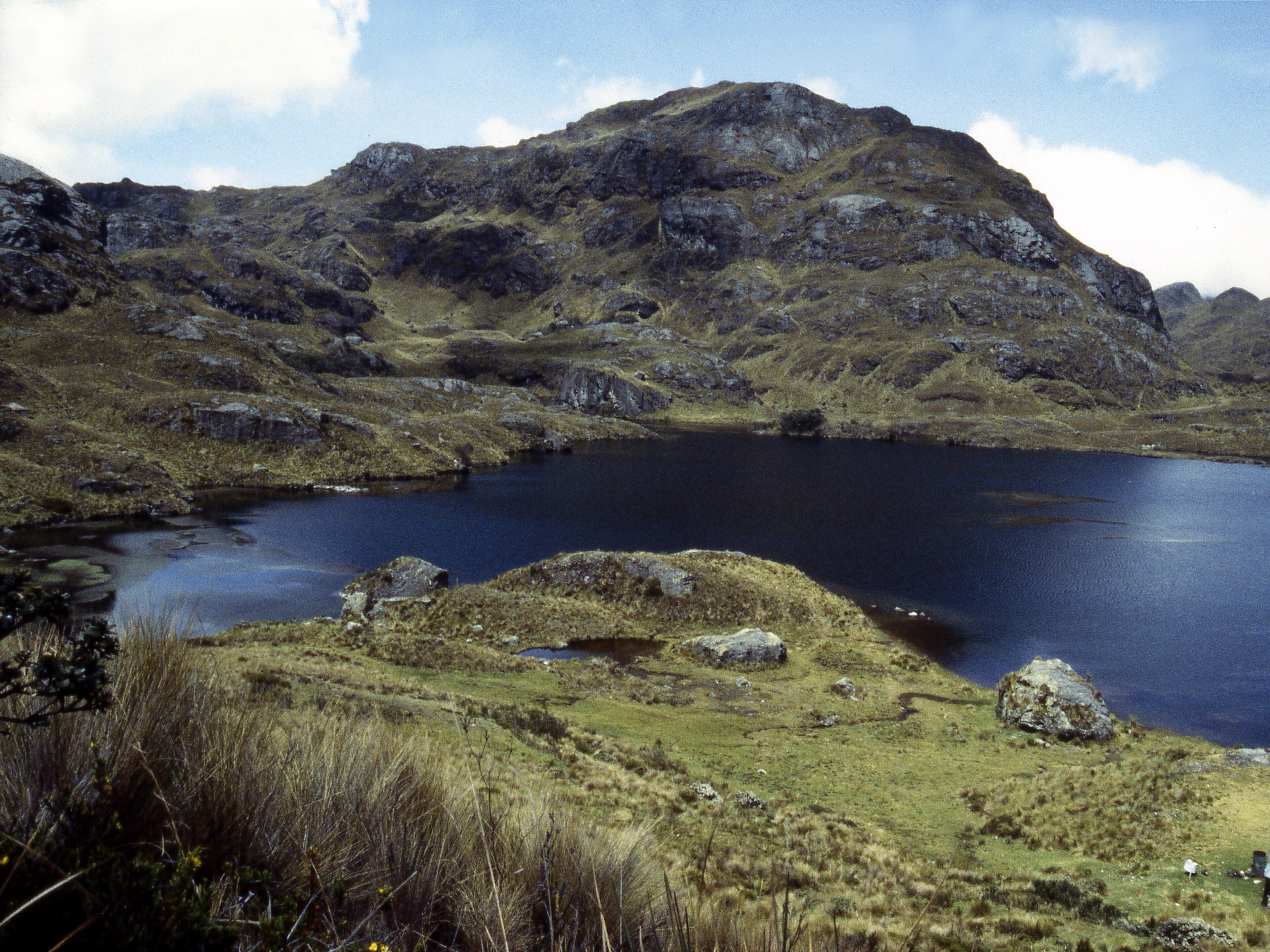 Ecuador — Southern Ecuadorian Andes / Cajas-Loja: Essential Day-Hikes