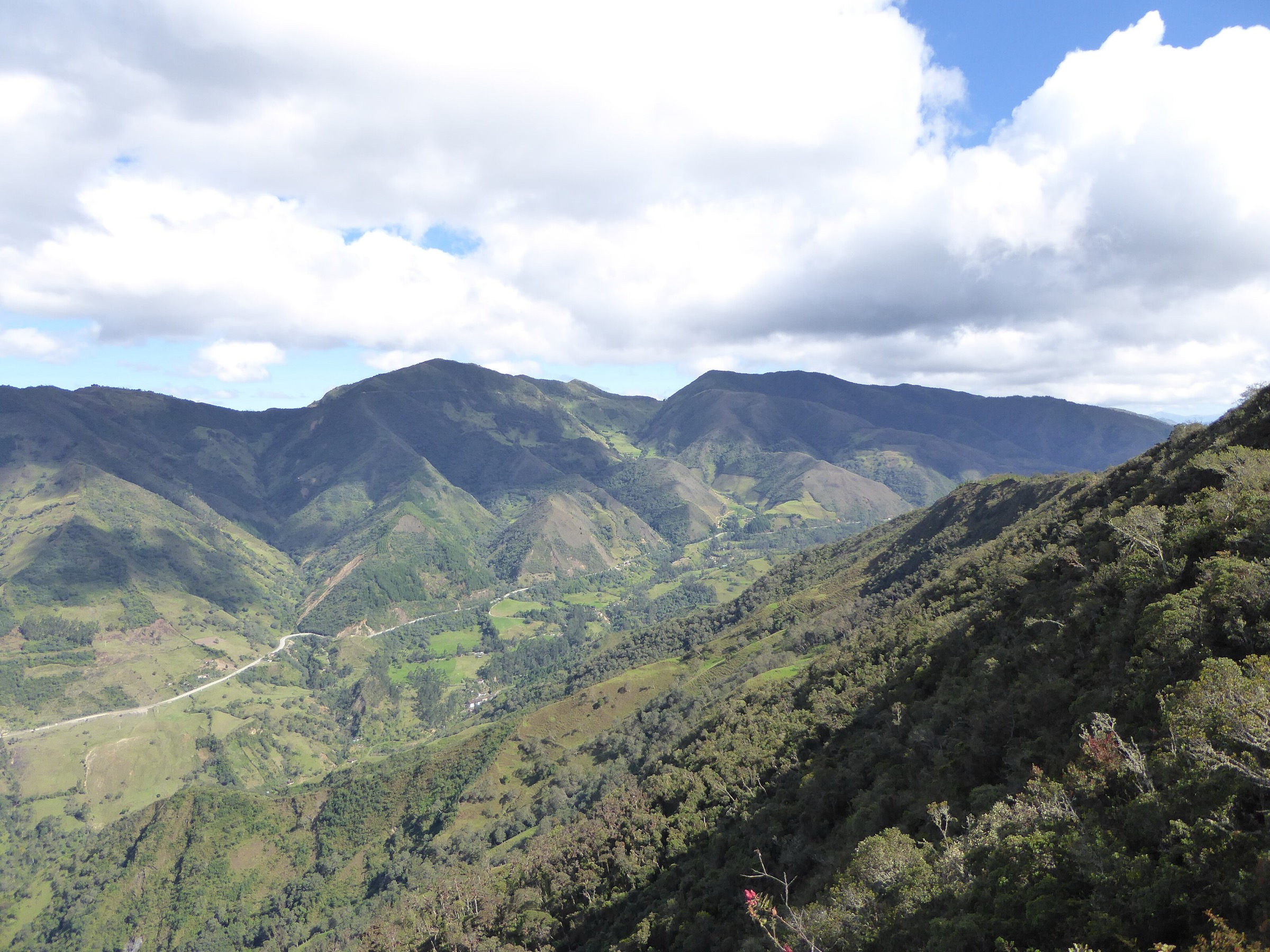 Cloud forest and paramo landscape in Parque Nacional Podocarpus
