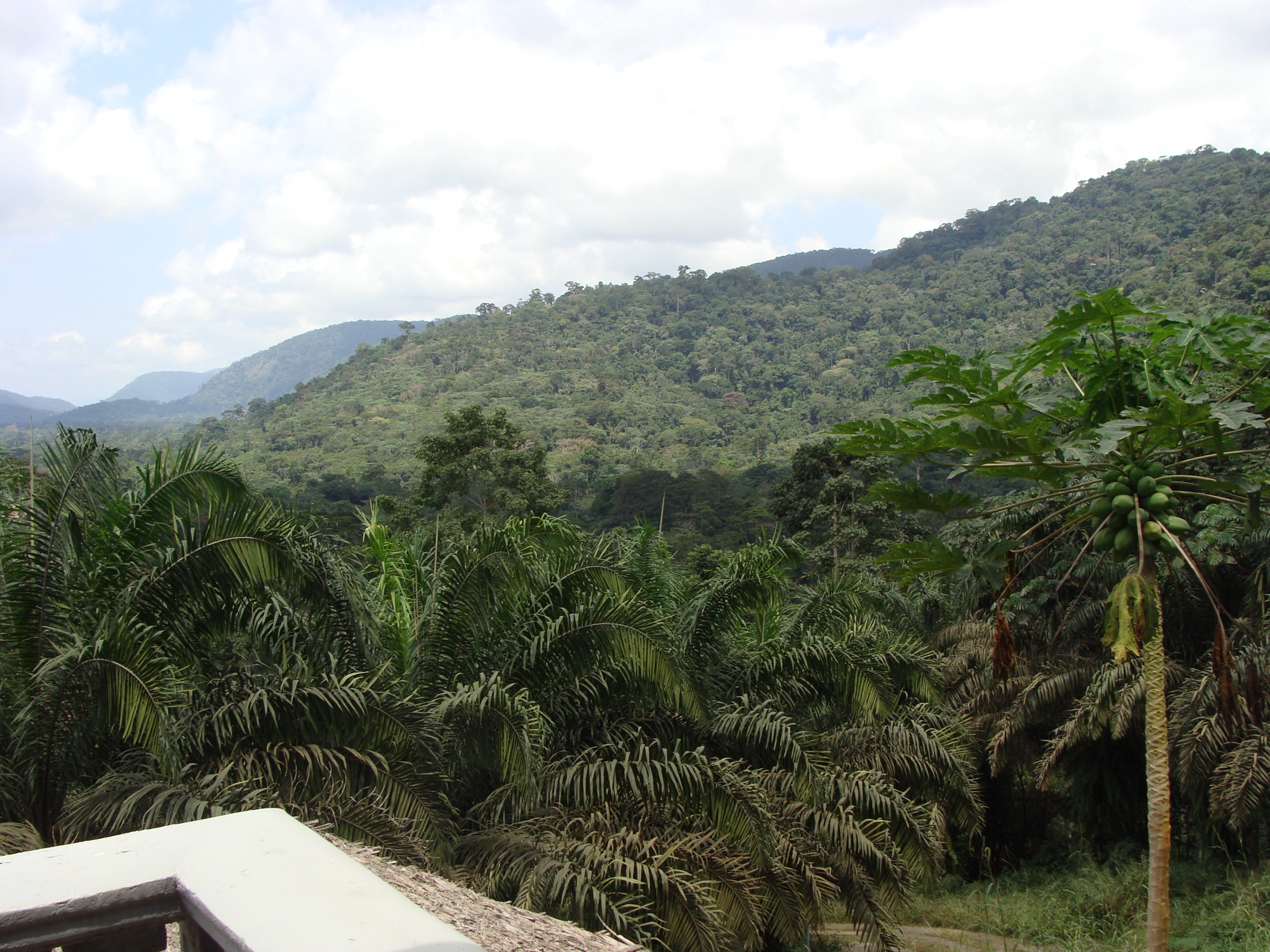 Equatorial Guinea / Gabon — Cristal Mountains: Essential Day-Hikes