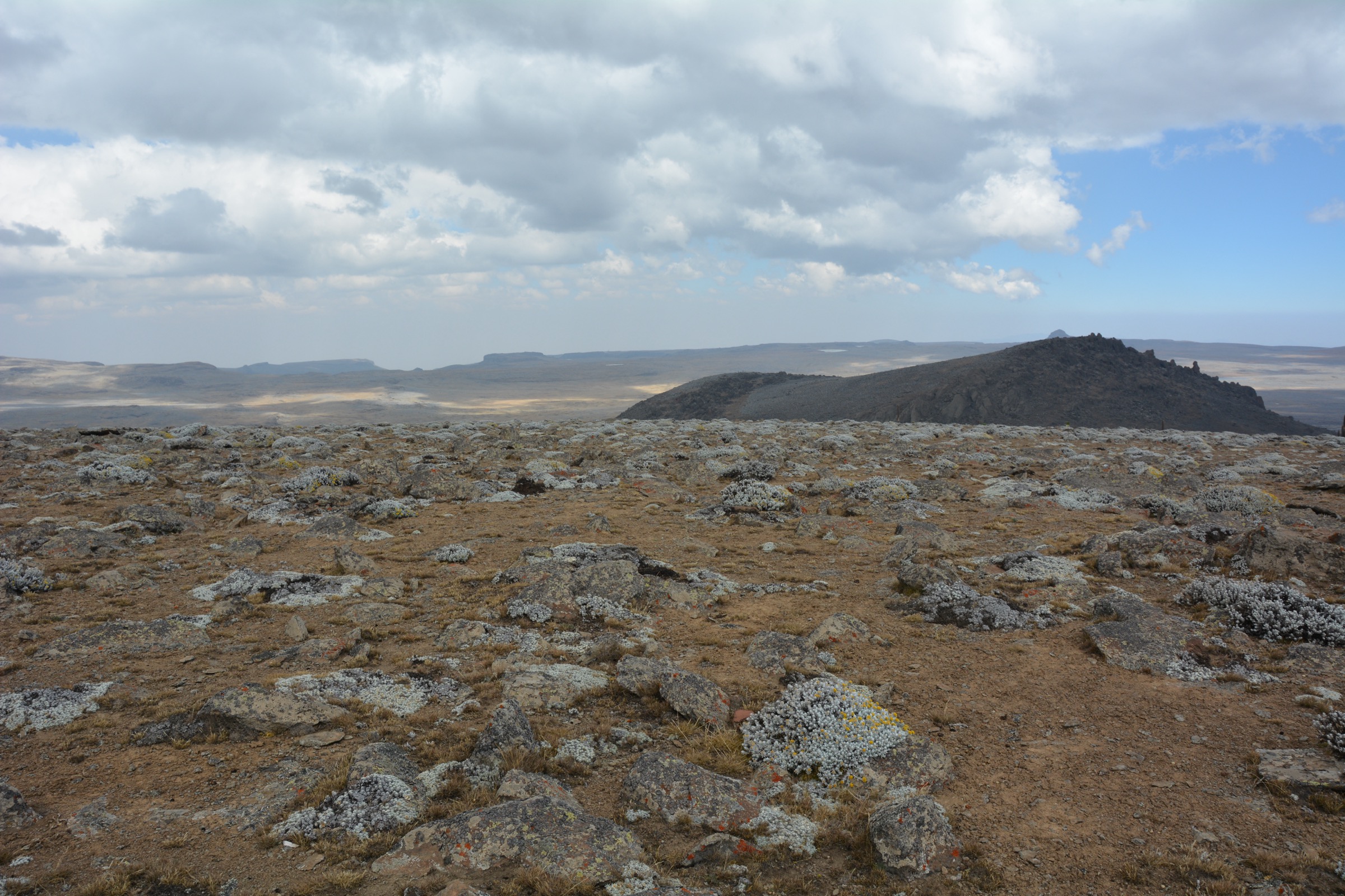Ethiopia — Arsi Mountains: Essential Day-Hikes