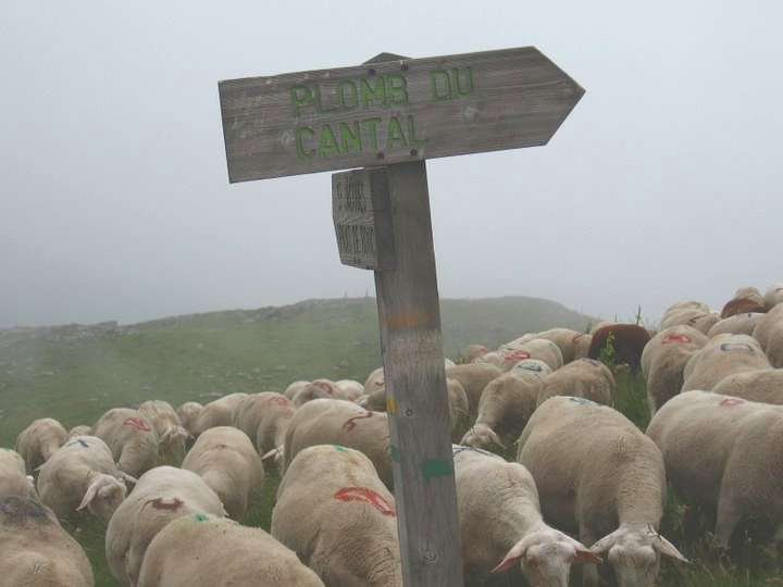 GR 3275 signpost near Plomb du Cantal