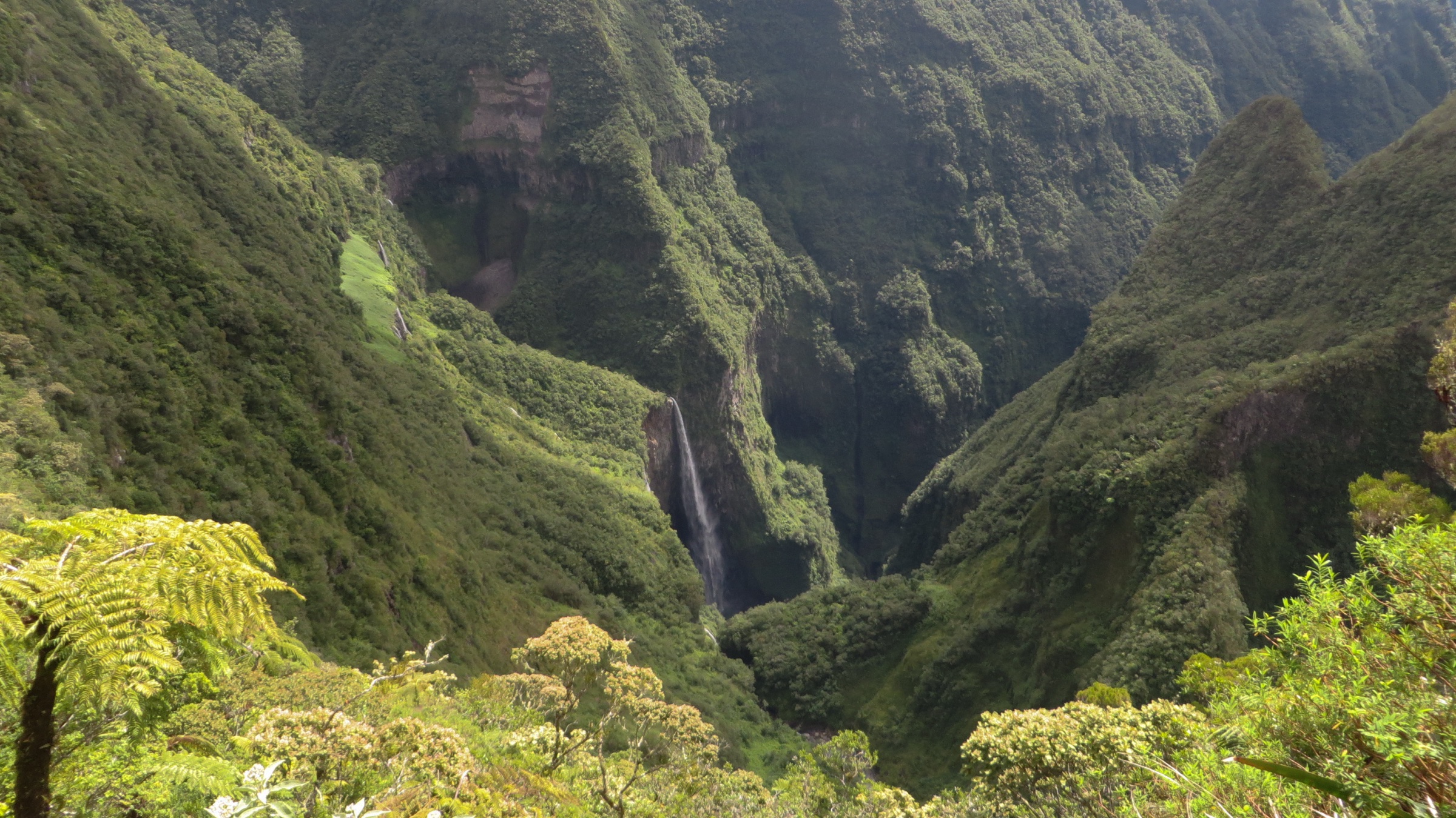 The Trou de Fer canyon viewed from the rim, with multiple waterfalls dropping into a forested chasm on the eastern Piton des Neiges massif