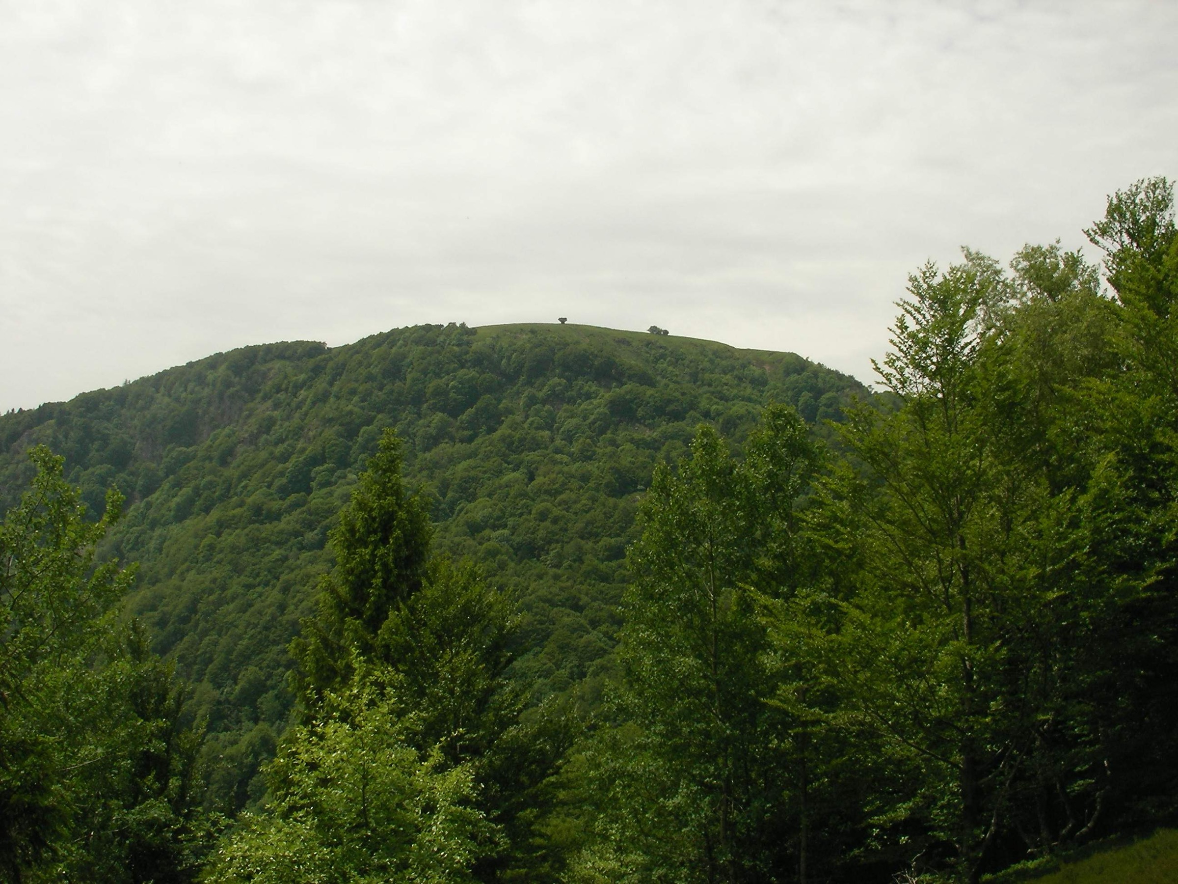 Ballon d'Alsace (1247 m)