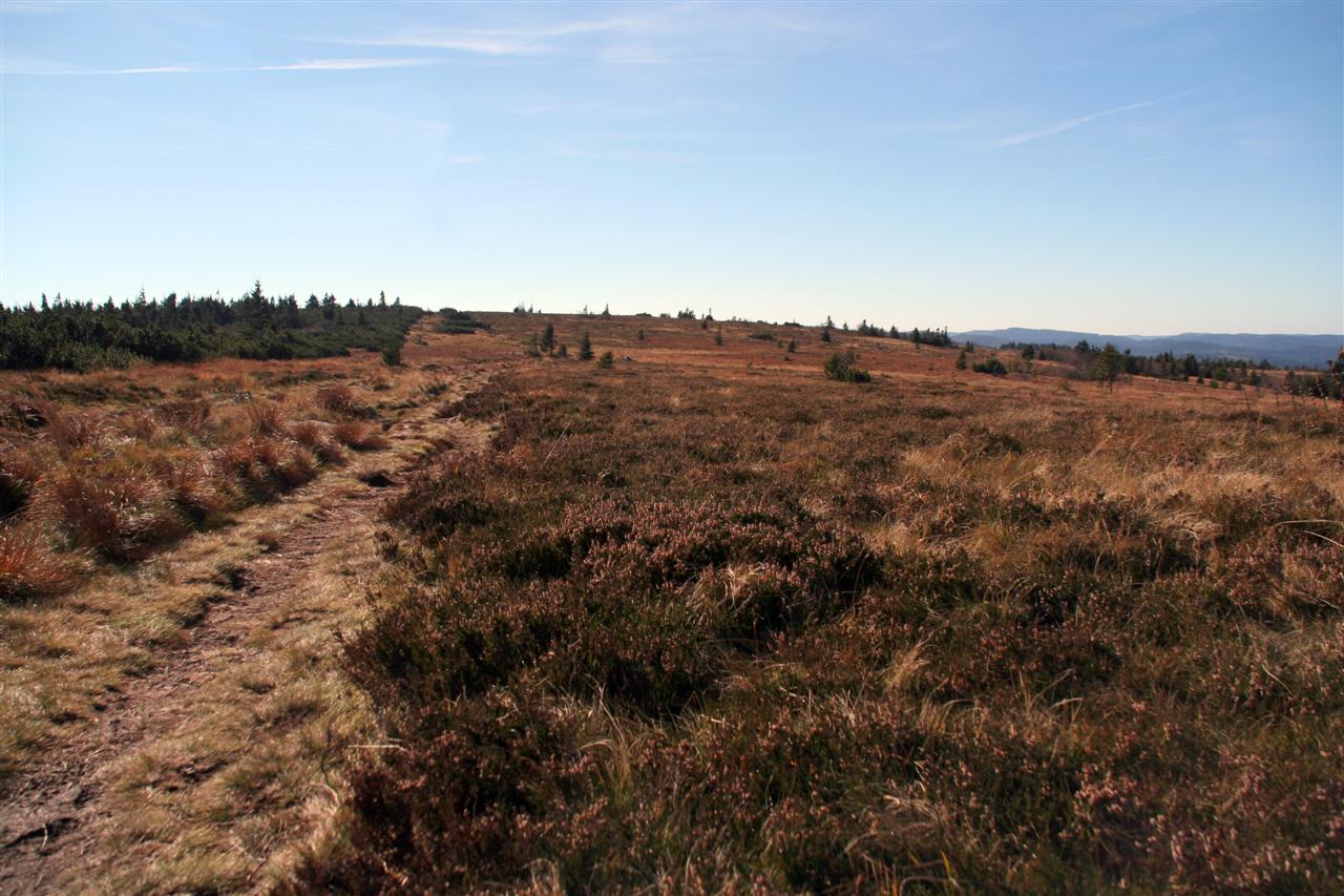 Hautes chaumes at Gazon du Faing