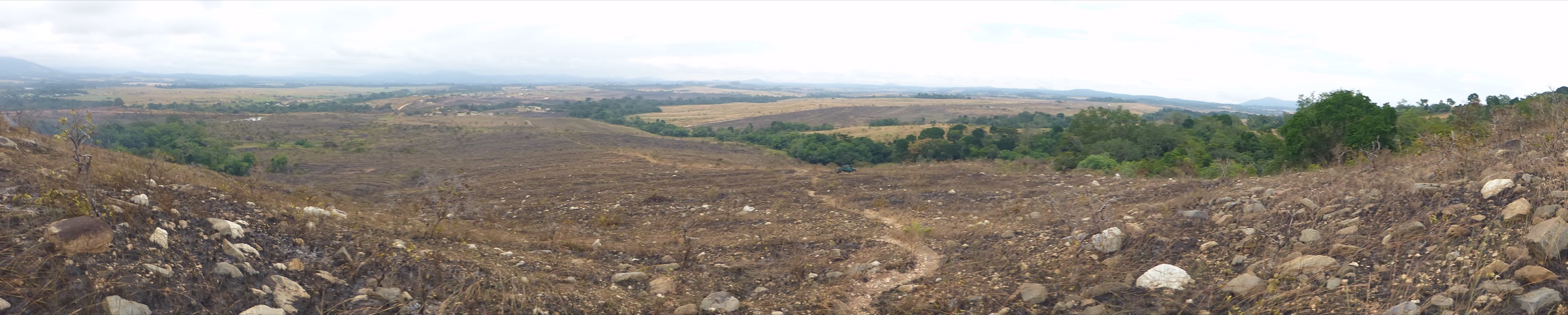 Panorama across the Lopé National Park savanna-forest mosaic on the northern edge of the Chaillu Massif