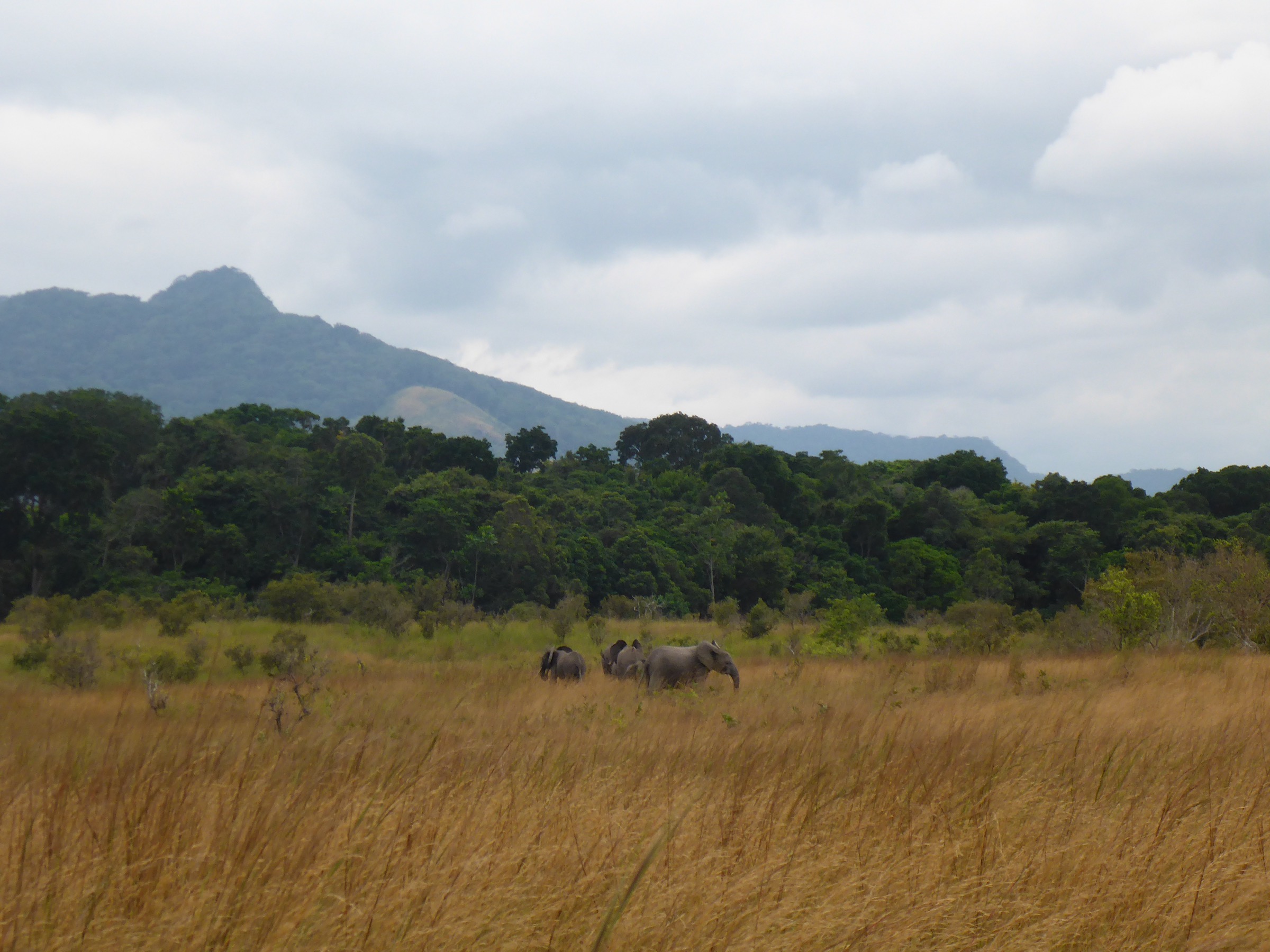 Gabon / Republic of the Congo — Chaillu Mountains