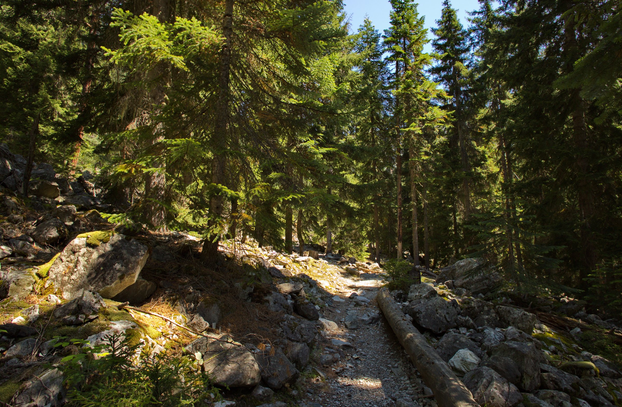 On the trail to Chalaadi Glacier, Samegrelo-Zemo Svaneti, Georgia
