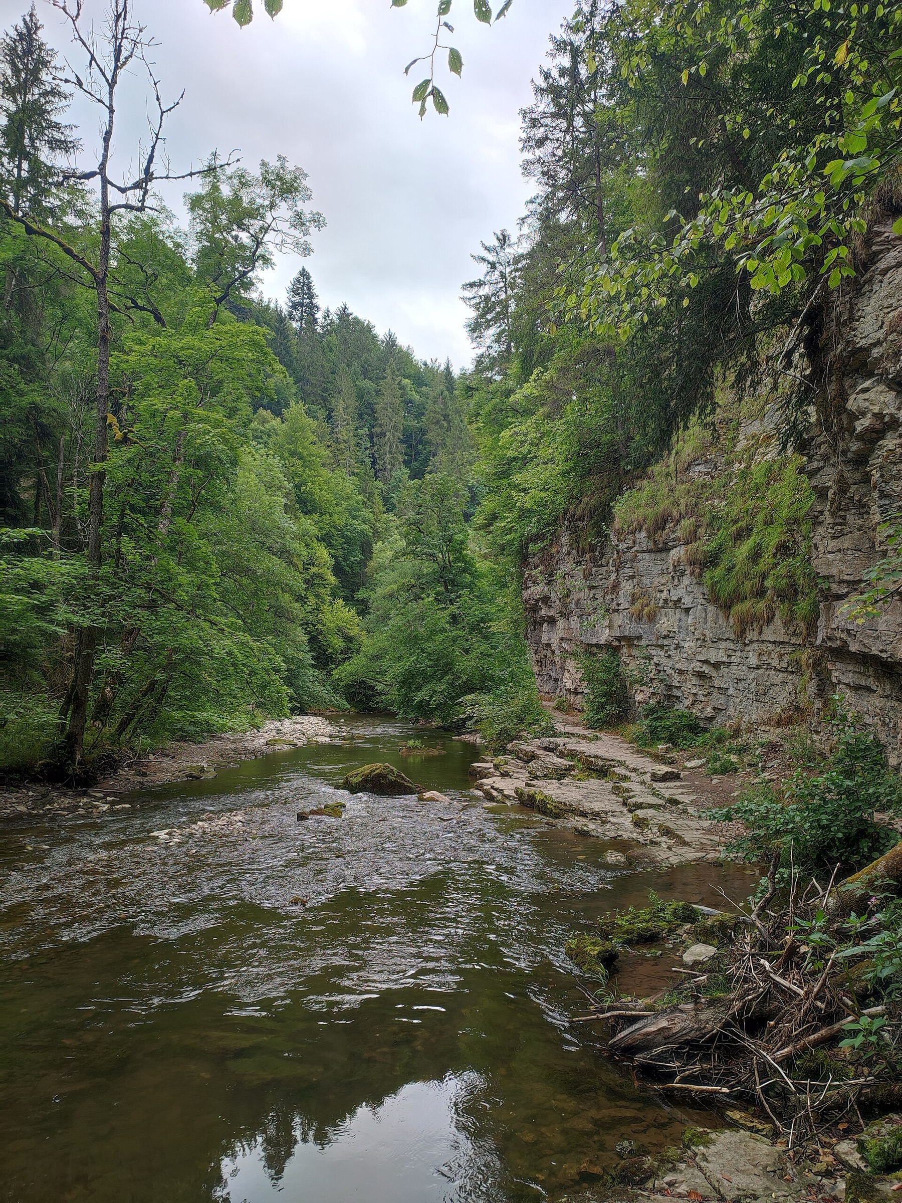 Wutach in the Wutach Gorge nature reserve