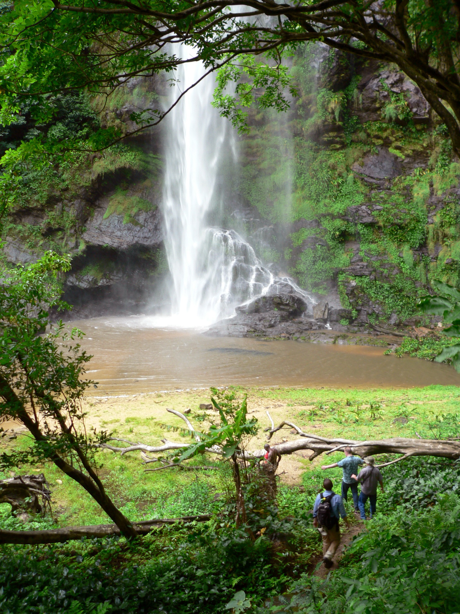 Wli Upper Falls in the Agumatsa Wildlife Sanctuary, Volta Region, Ghana