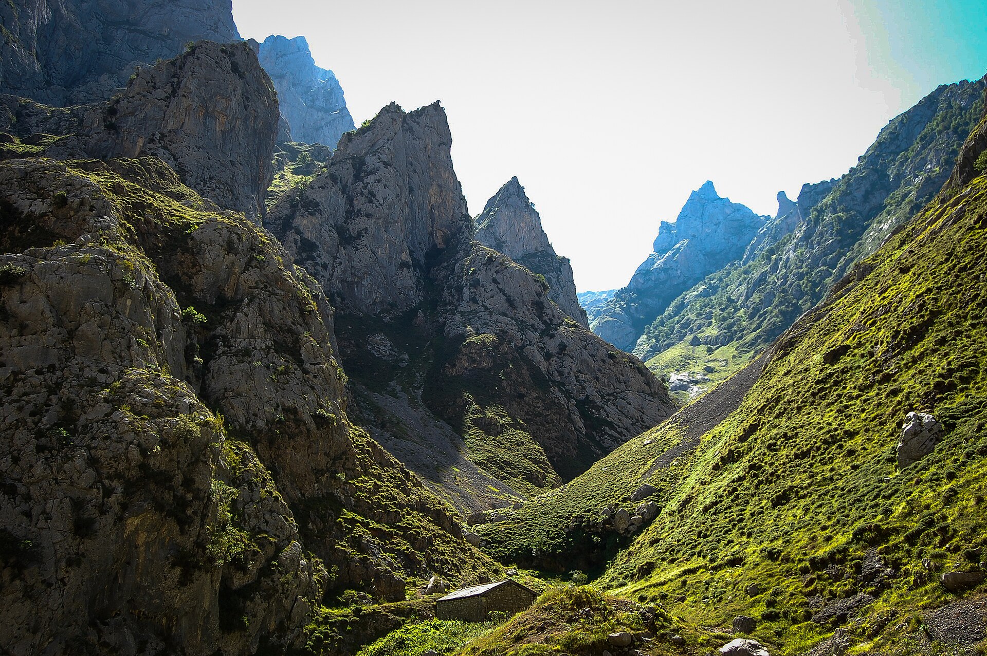 Ruta del Cares path cut into the limestone gorge walls