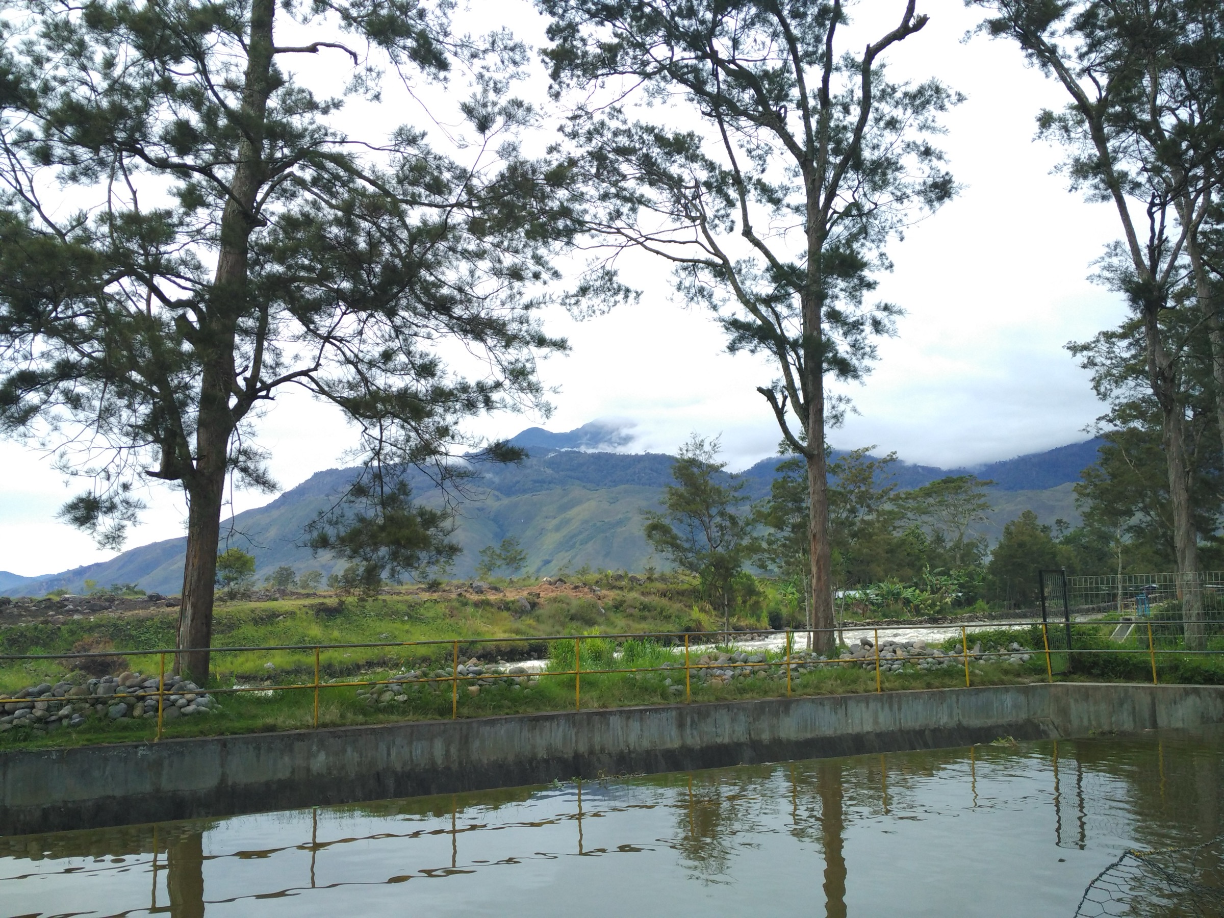 Indonesia — Maoke / New Guinea Highlands: Papua / New Guinea Highlands