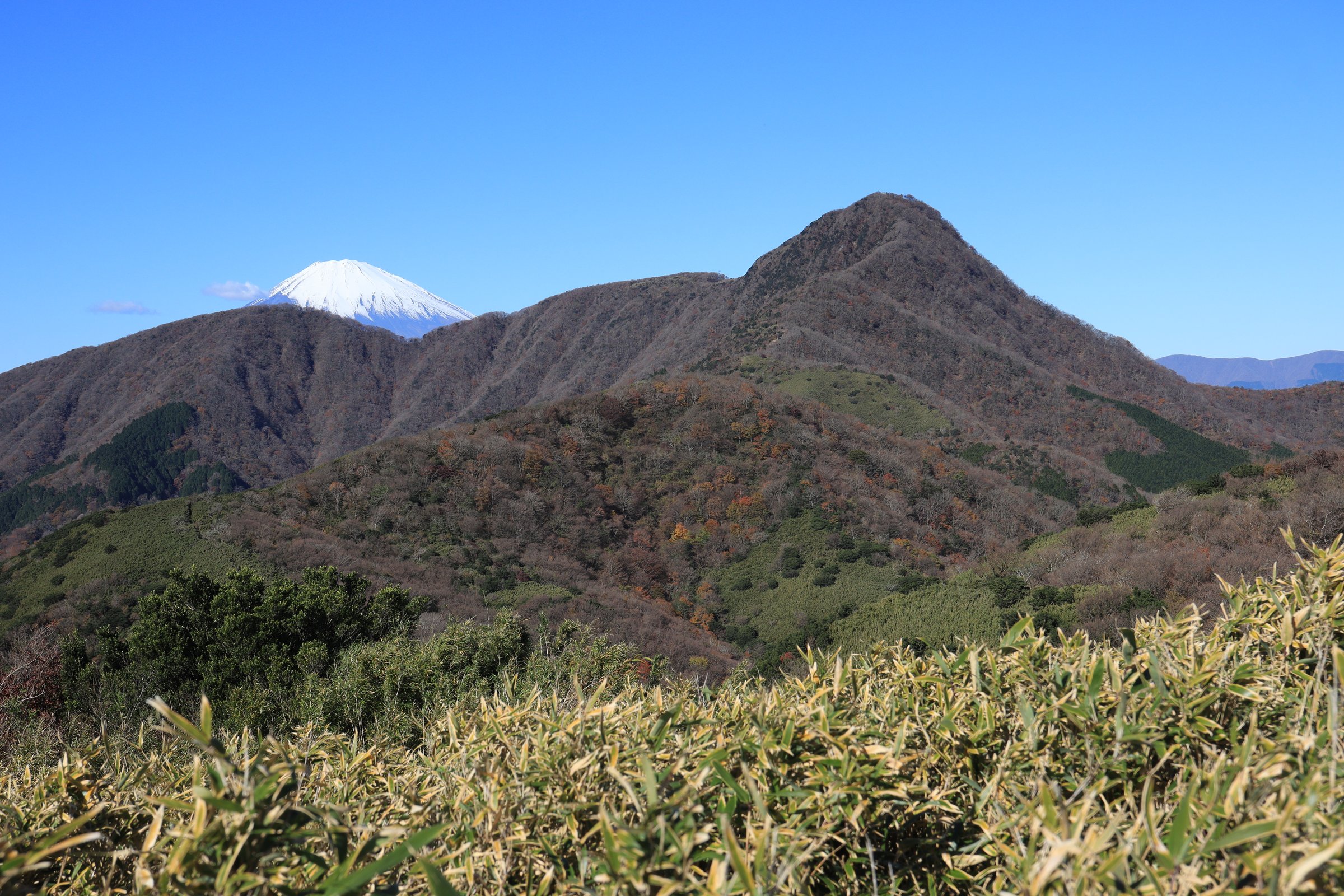 Mount Kintoki and Mount Fuji