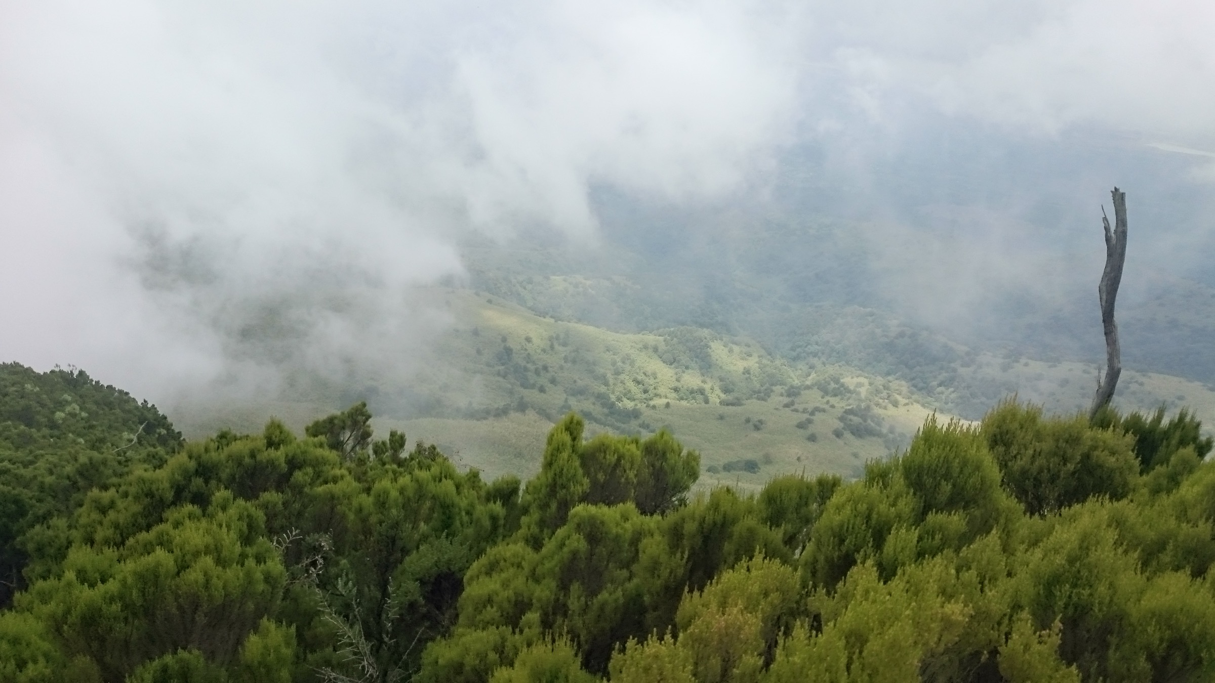 Kenya — Aberdare Range