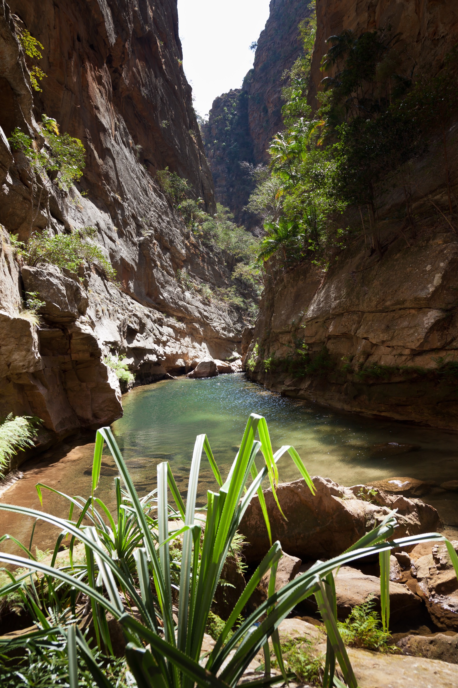 Canyon des Makis and Canyon des Rats, Isalo-Gebirge