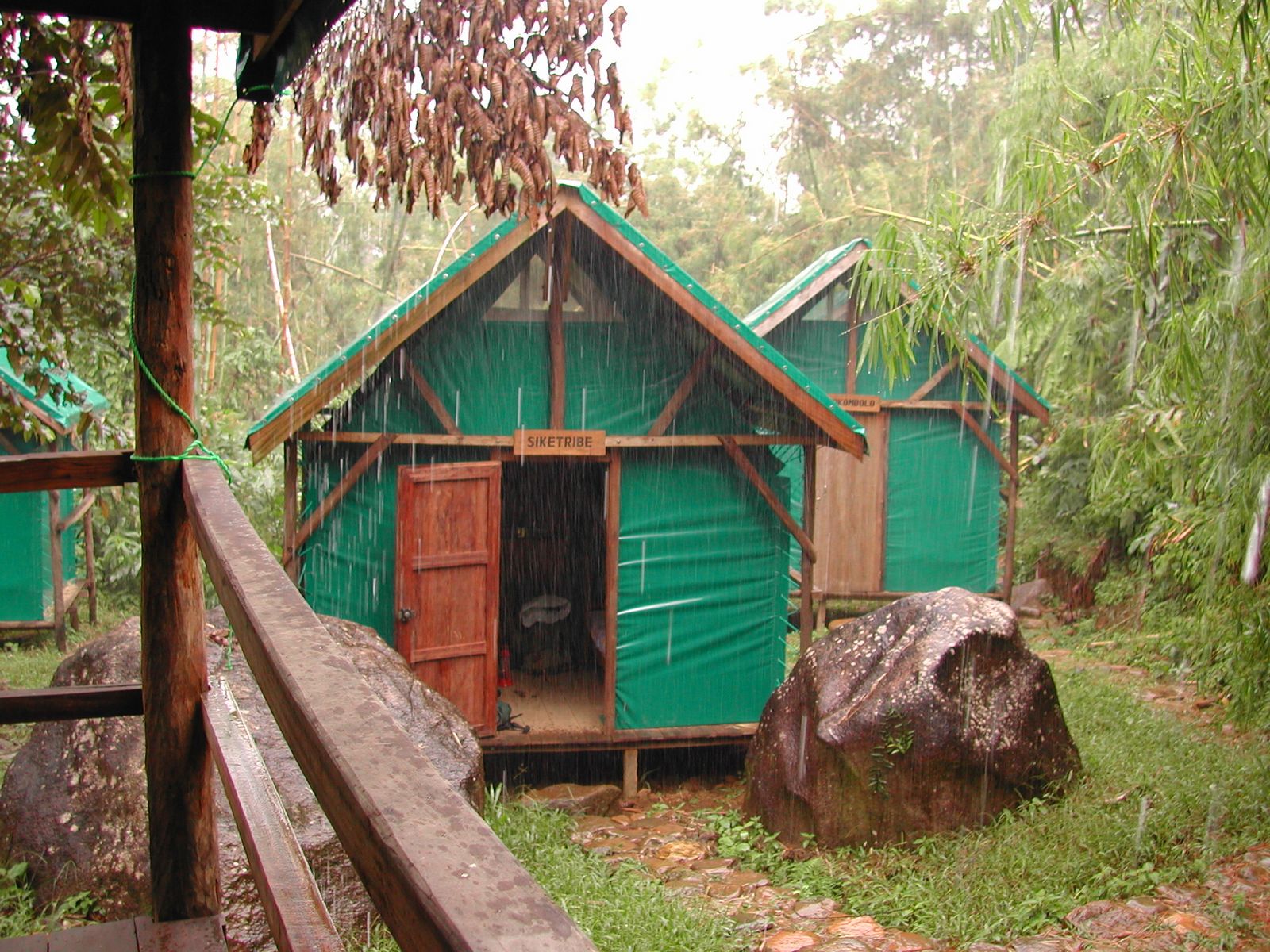 Camp Mantella, Marojejy National Park