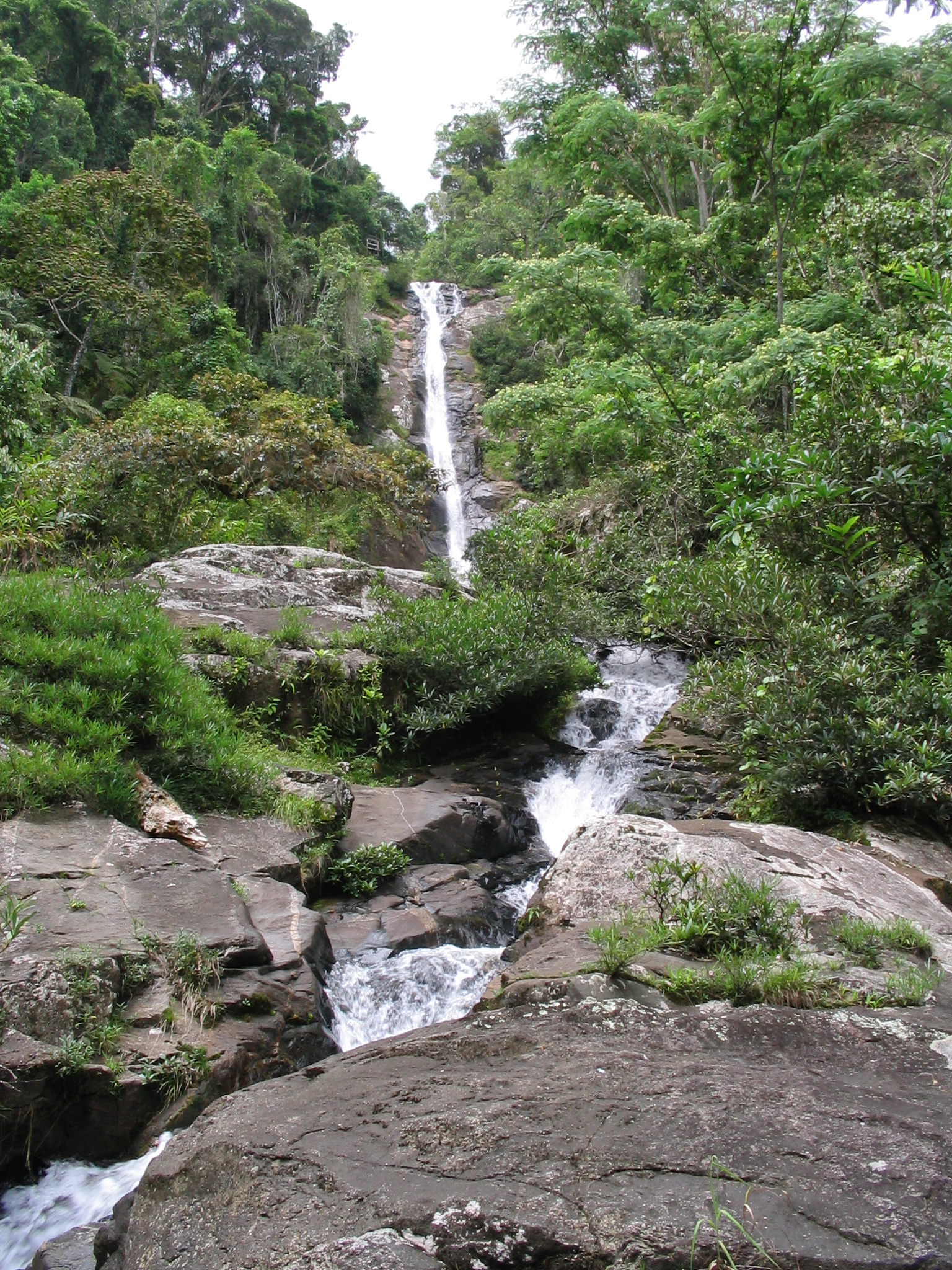 Cascade de Humbert, Marojejy National Park