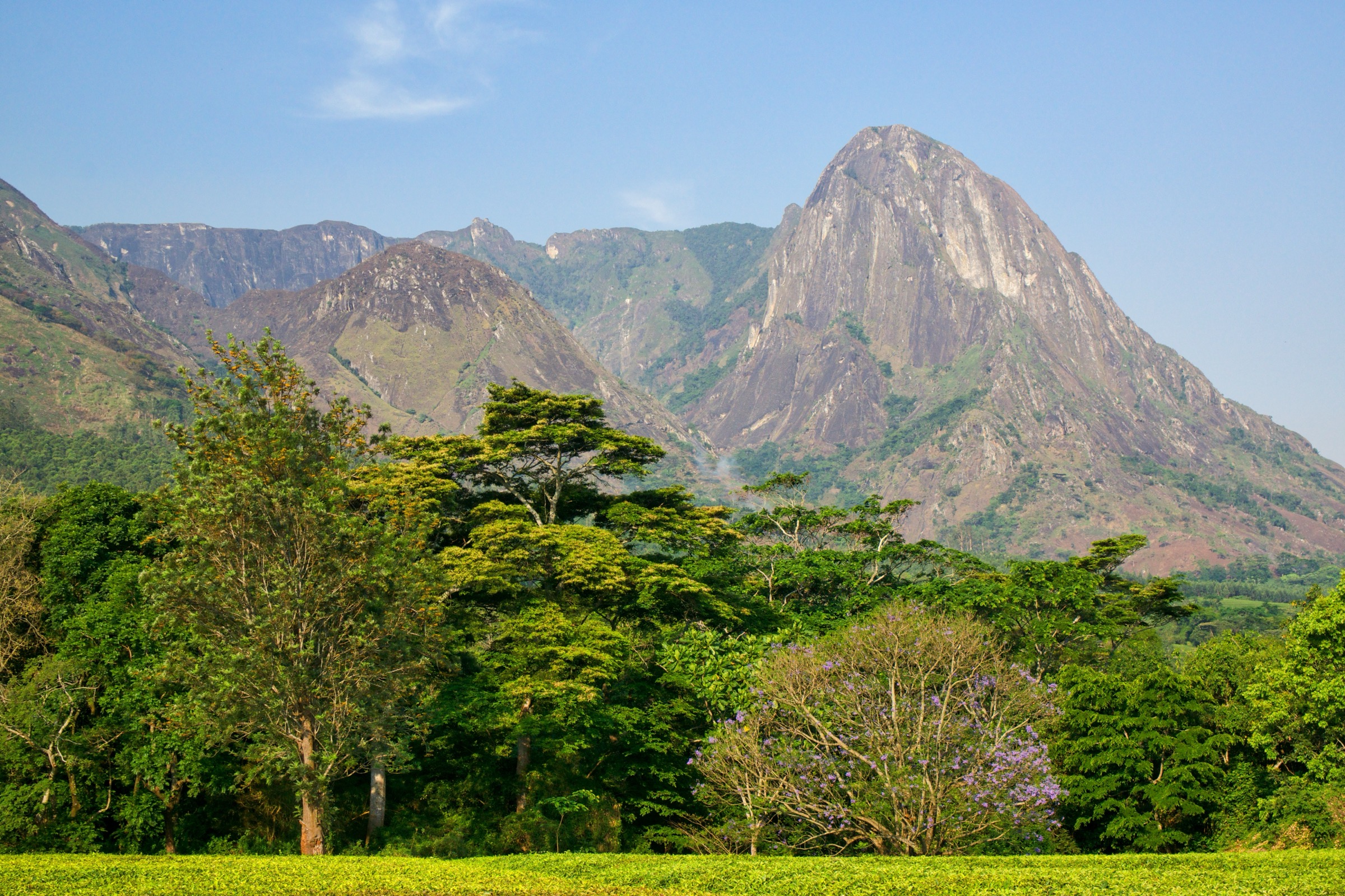 Malawi — Mulanje Massif: Essential Day-Hikes