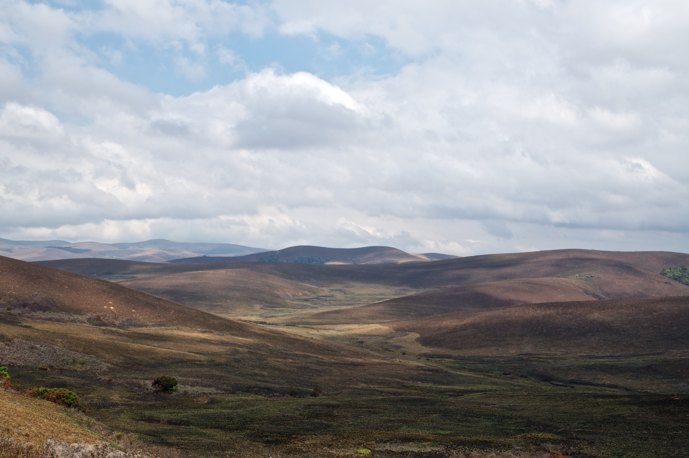 Nyika Plateau landscape (illustrative of the Fingira approach)