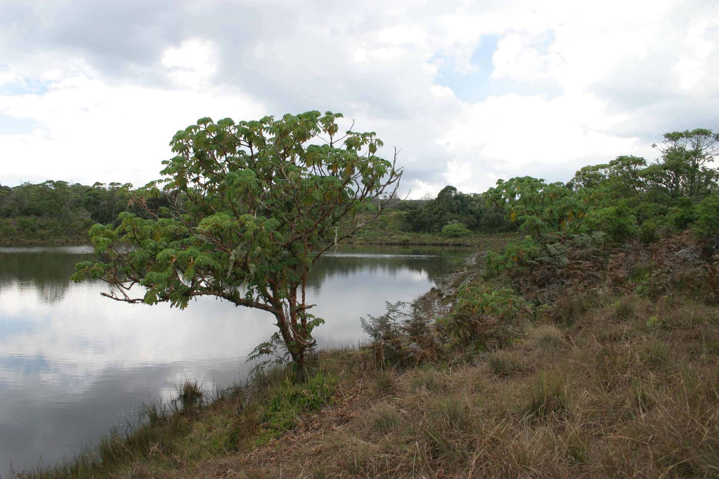 Lake Kaulime on the Nyika Plateau