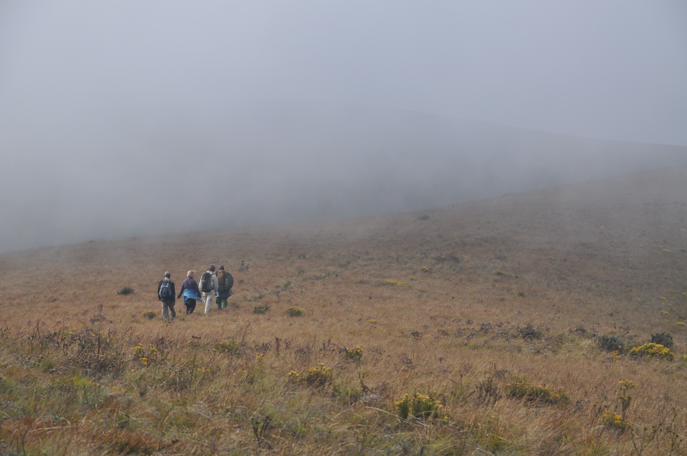 Open grassland on the Nyika Plateau (illustrative of the Nganda approach)