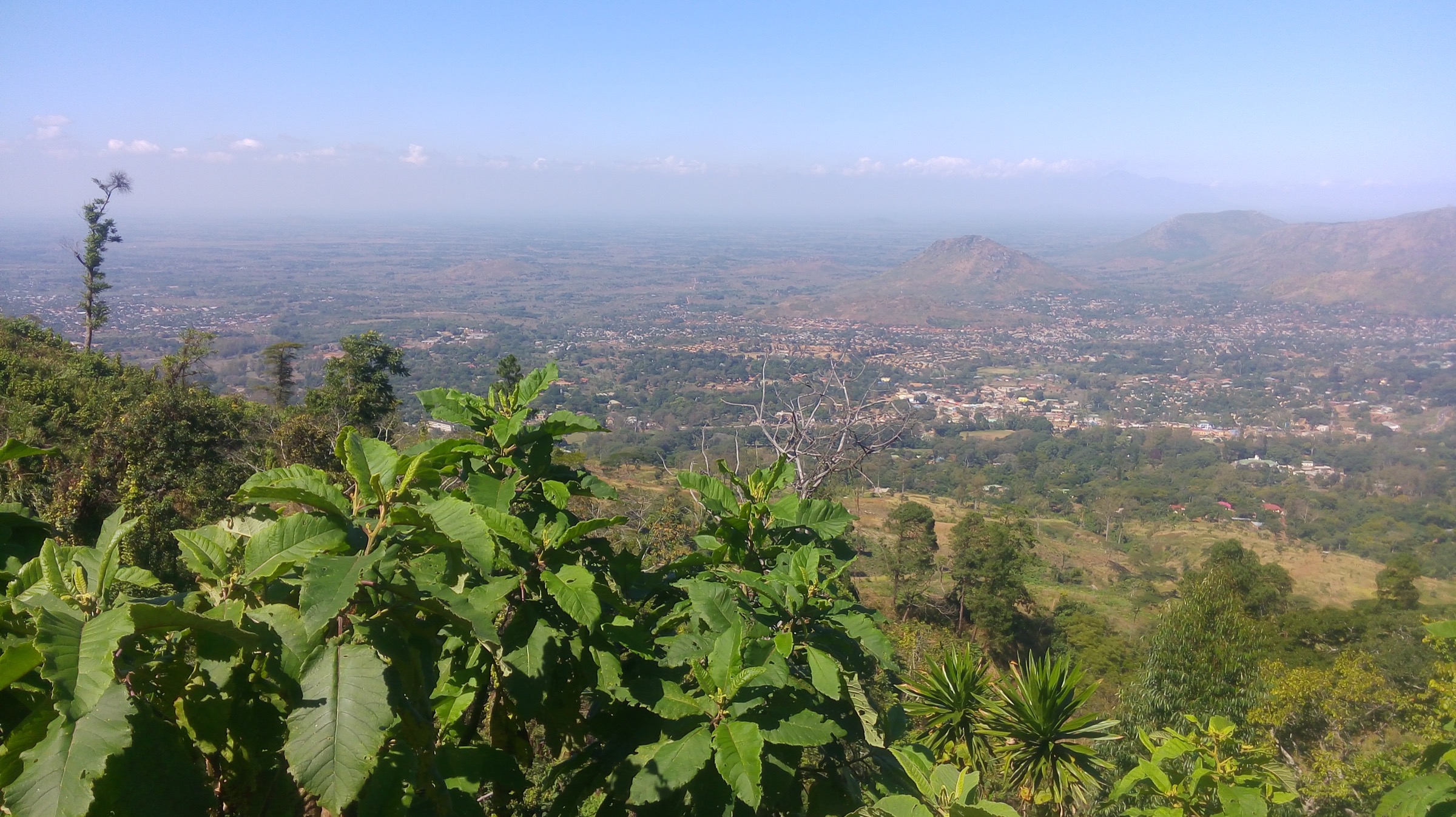 View from the high western ridge of the Zomba Plateau