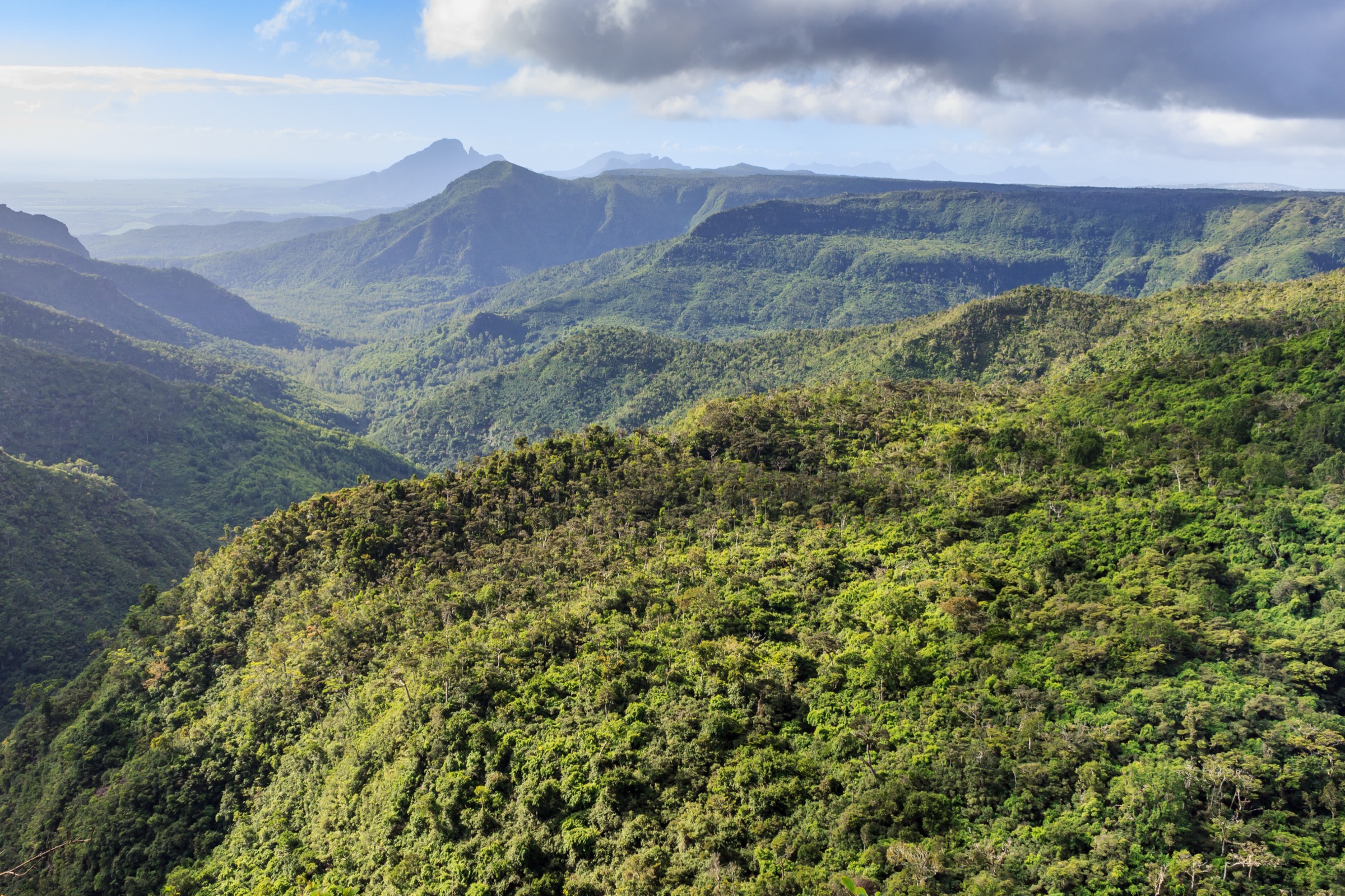 Mauritius — Black River Gorges: Essential Day-Hikes
