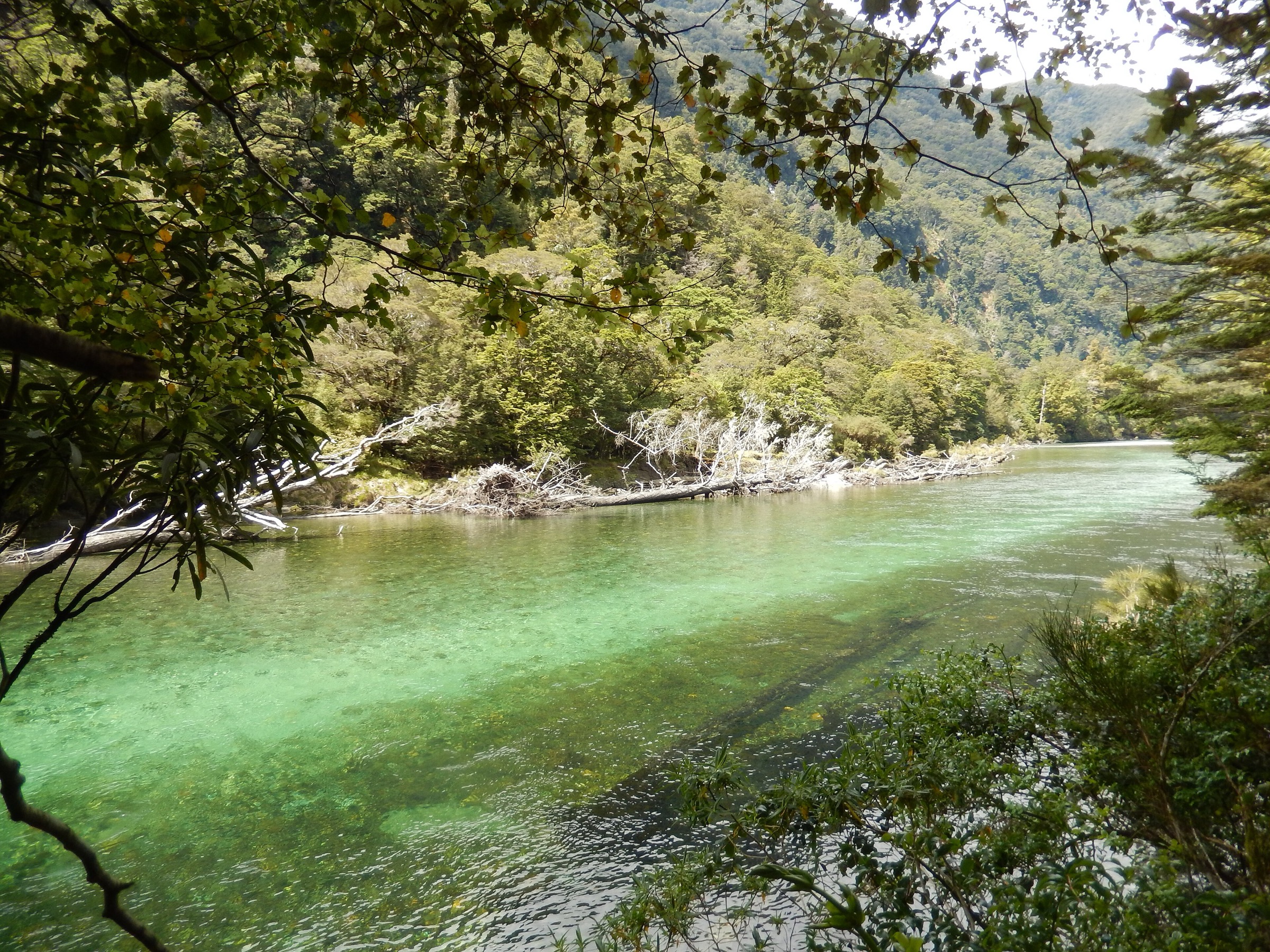 Clinton River on the Milford Track in Fiordland National Park